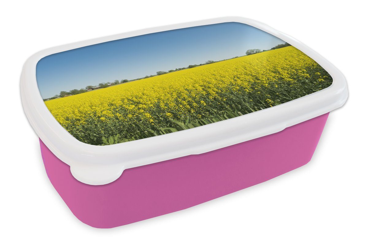 MuchoWow Lunchbox Gelbes Feld Rapssaat, Kunststoff, (2-tlg), Brotbox für Erwachsene, Brotdose Kinder, Snackbox, Mädchen, Kunststoff rosa