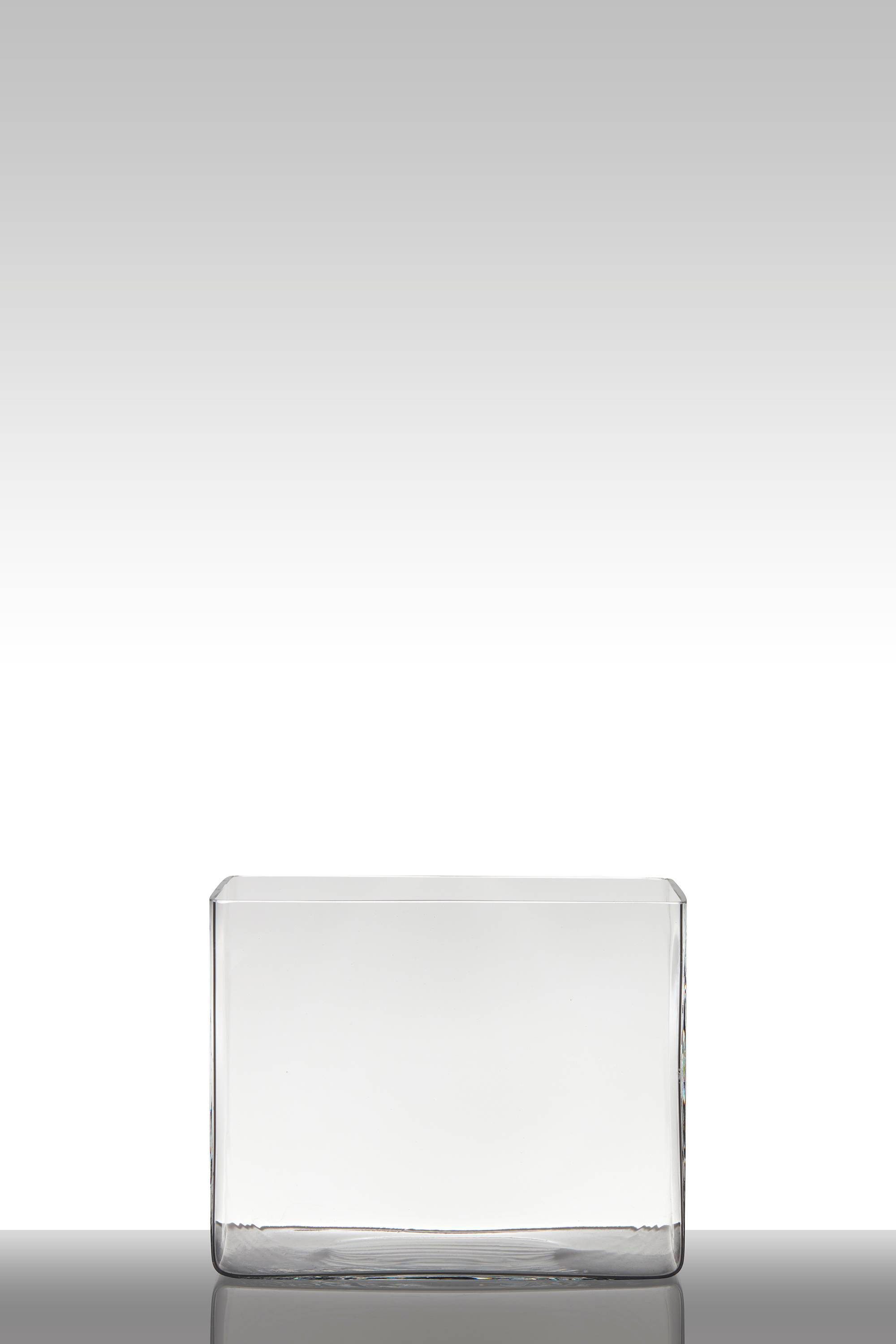 INNA-Glas Blumentopf Glas MIRJA, Quader - rechteckig, klar, 25x18x20cm - Windlicht