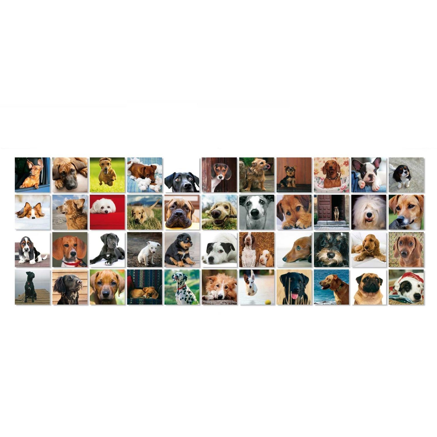 Remember Spiel Gedächtnisspiel 44 Dogs