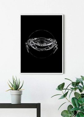 Komar Poster Crab Black, Tiere (1 St), Kinderzimmer, Schlafzimmer, Wohnzimmer