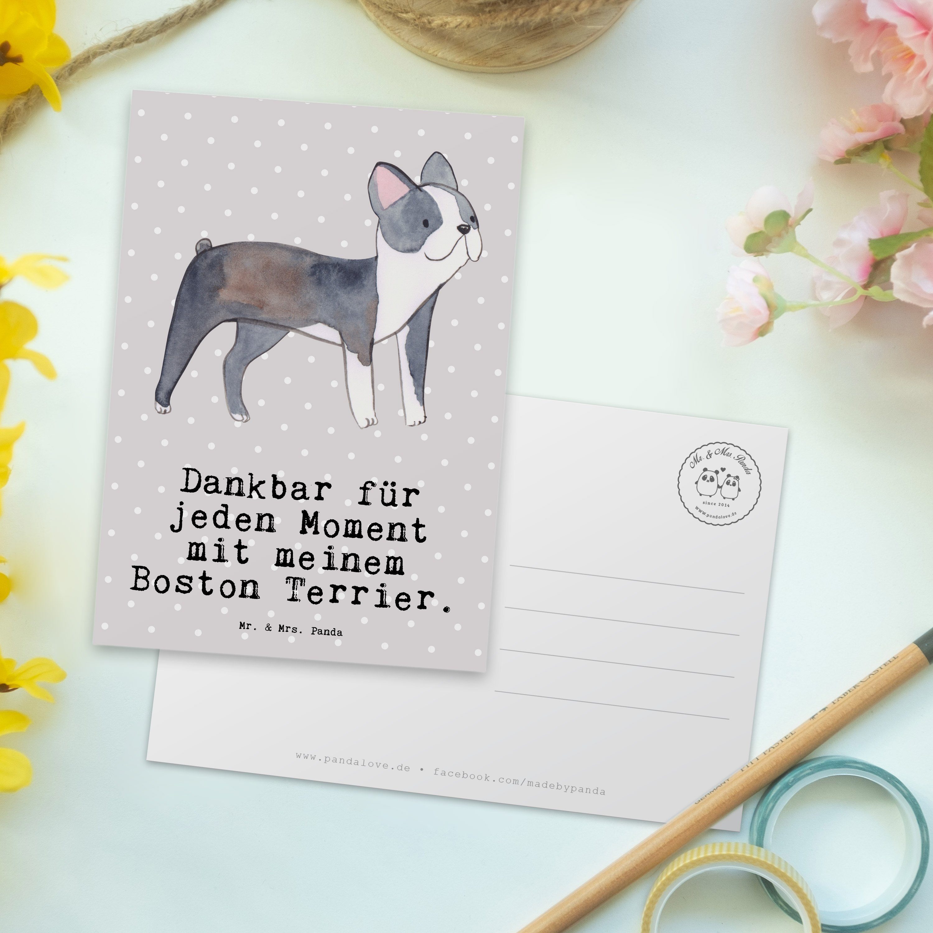 Grau Panda Geschenk, Postkarte Moment - & Pastell - Mr. Terrier Boston Geschenkkarte, Mrs. Gebur