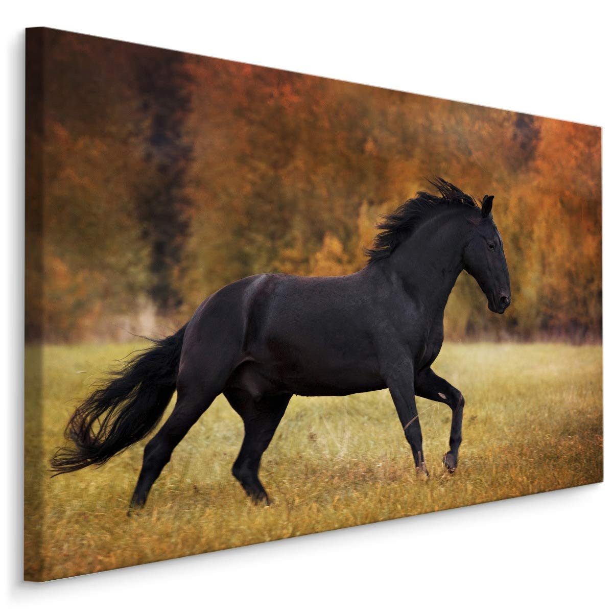 Muralo Leinwandbild Tiere – Leinwandbild Wandbild Kunstdruck Wohnzimmer, Natur (1 St), Tiere – Pferd – Wild Galoppieren, 90 x 60 cm, aufhängefertig