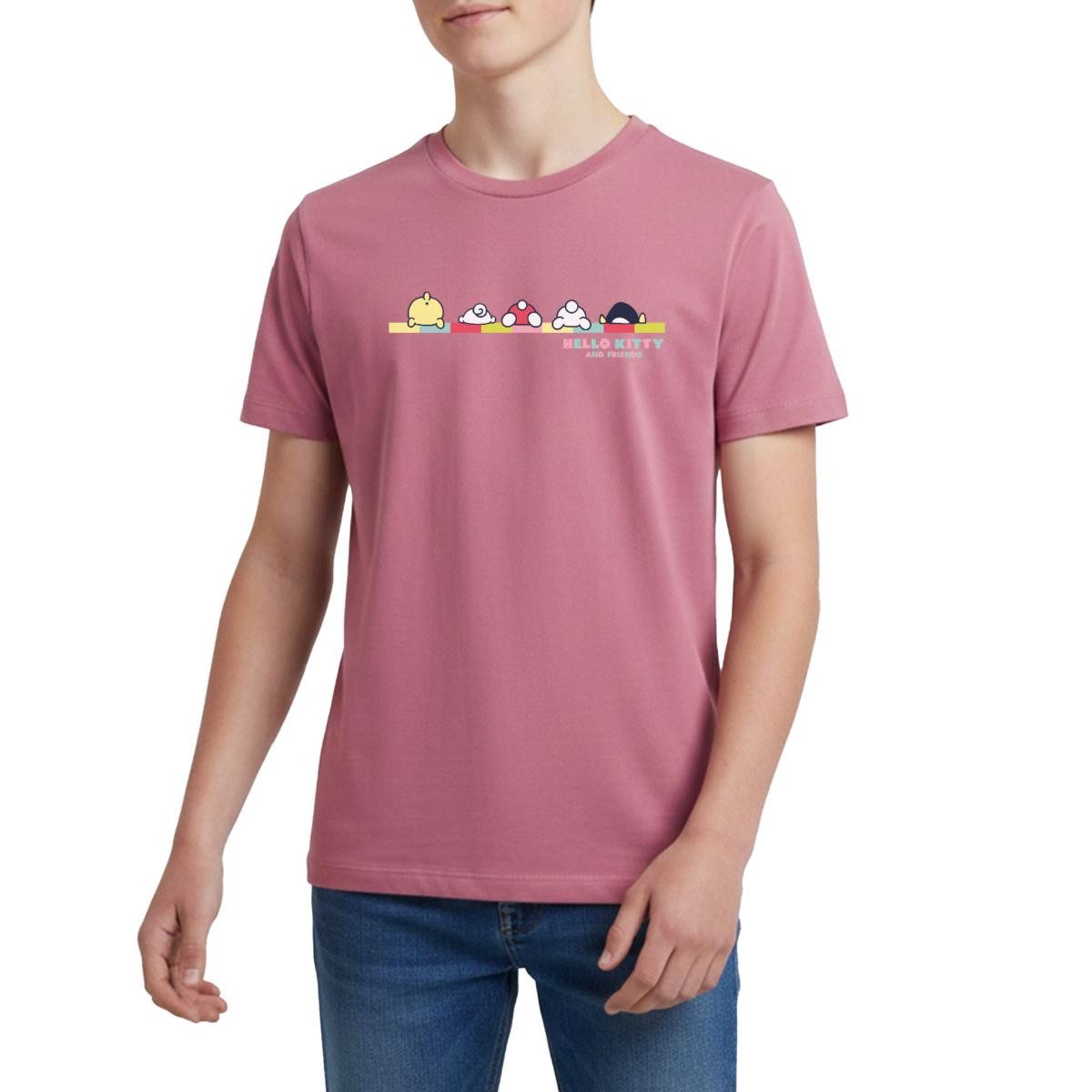 T-Shirt Hello Kitty And Friends Pose Teenager Premium T-Shirt