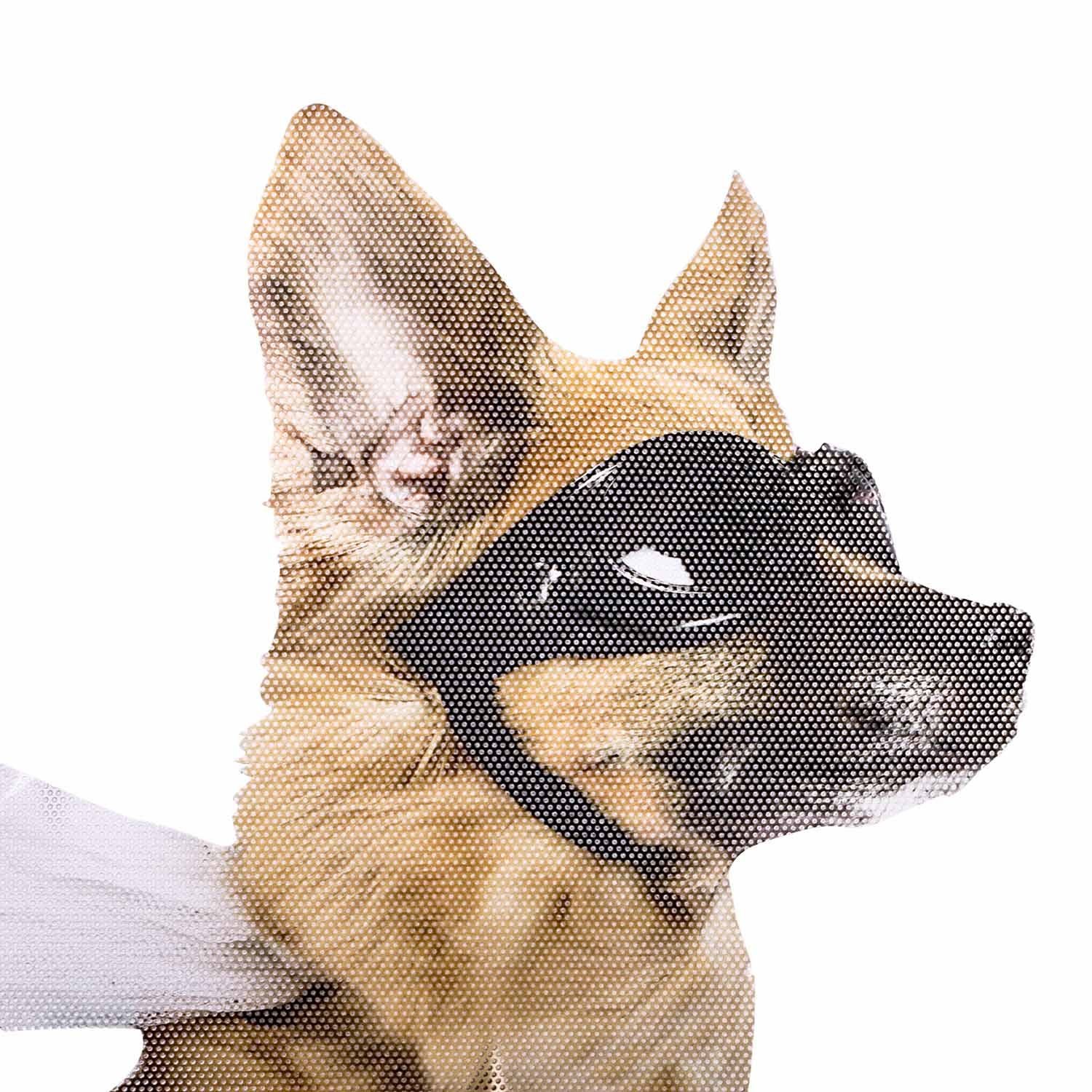 Thumbs Up Наклейка Ride With a Dog - Fenstersticker "Hund"