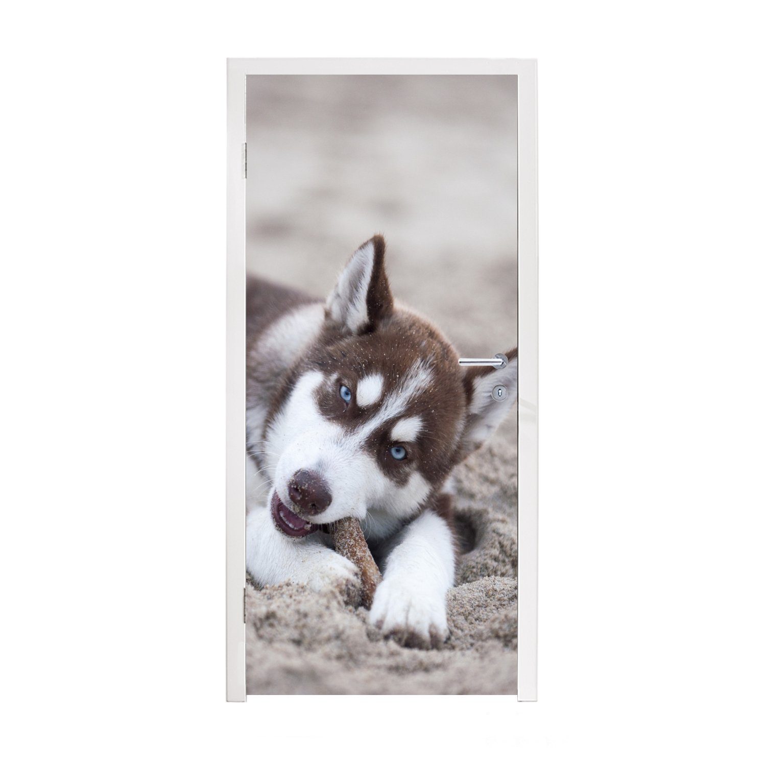 MuchoWow Türtapete Husky-Welpe am Strand, Matt, bedruckt, (1 St), Fototapete für Tür, Türaufkleber, 75x205 cm
