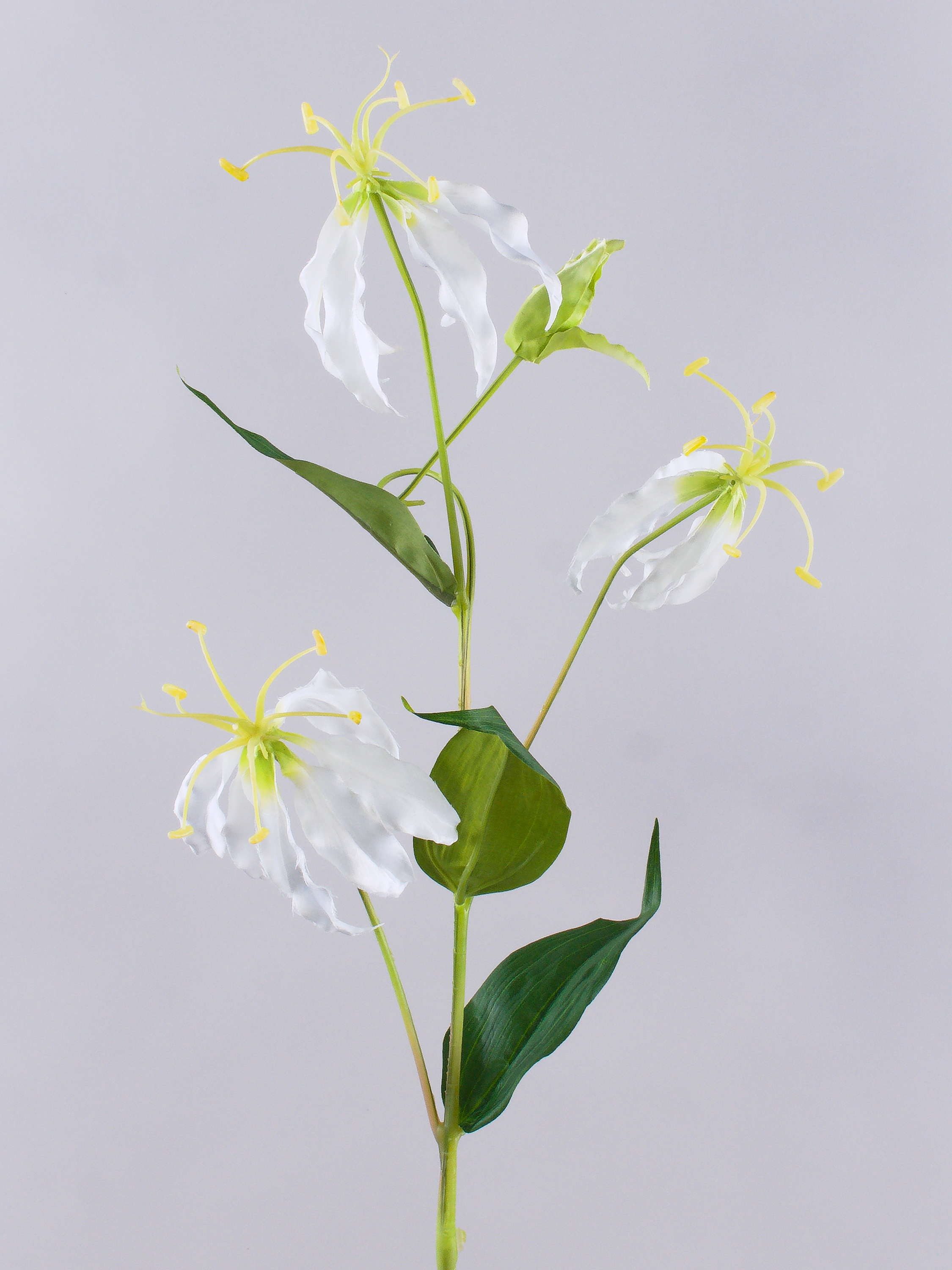Kunstzweig Kunstblume Gloriosa MAFIRNA, weiß-grün, 80cm