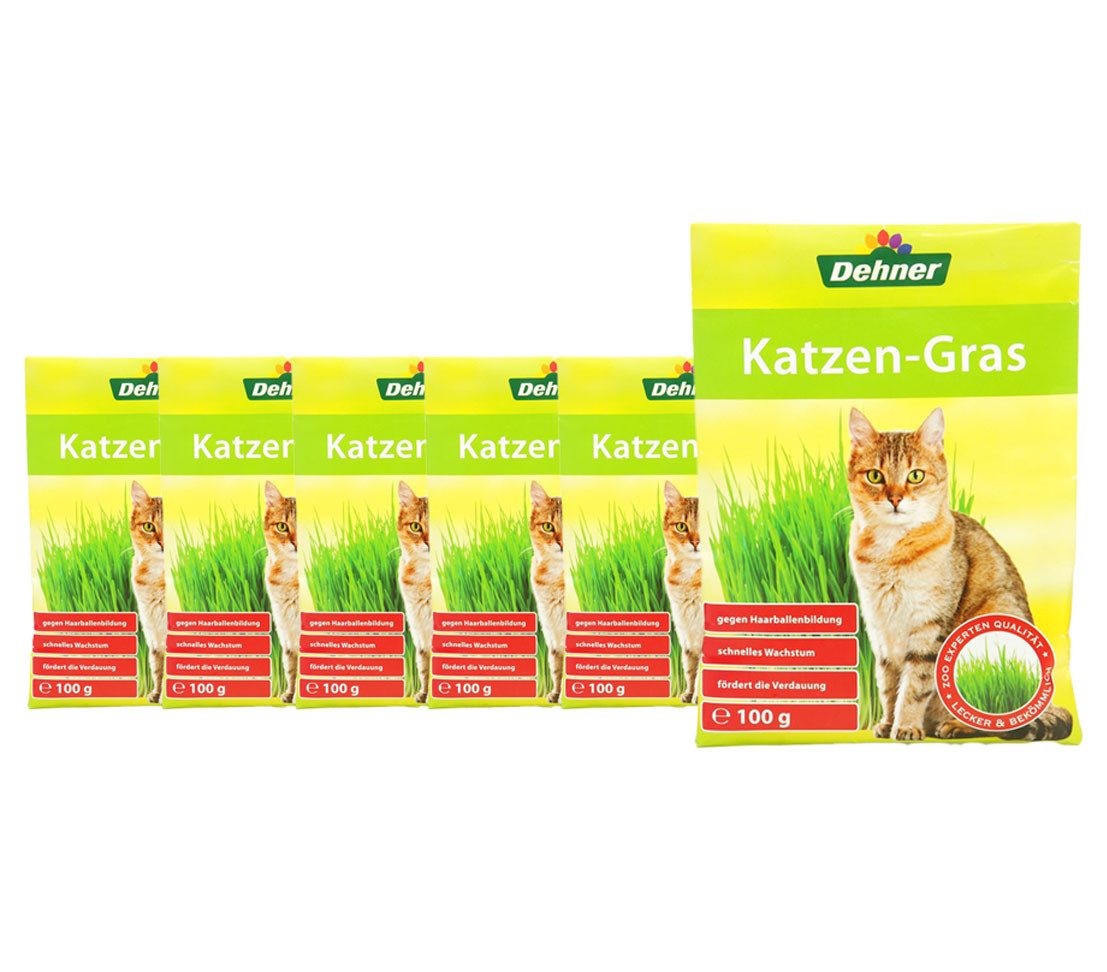 Dehner Katzengras Samen, 6 x 100 g Tüte, Snack für: Katze, auch für Nagetiere geeignet
