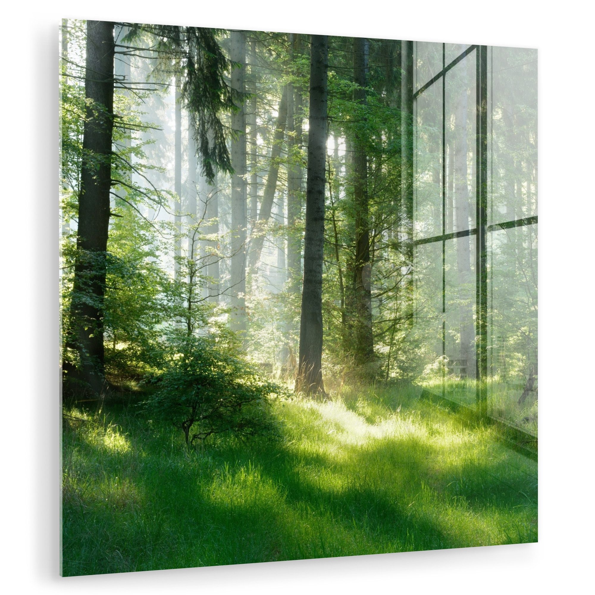 MuchoWow Acrylglasbild Natur - Bäume - günstig online kaufen