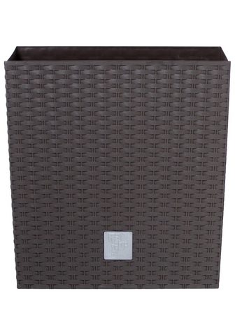 PROSPERPLAST Цветочный горшок »Rato low«...