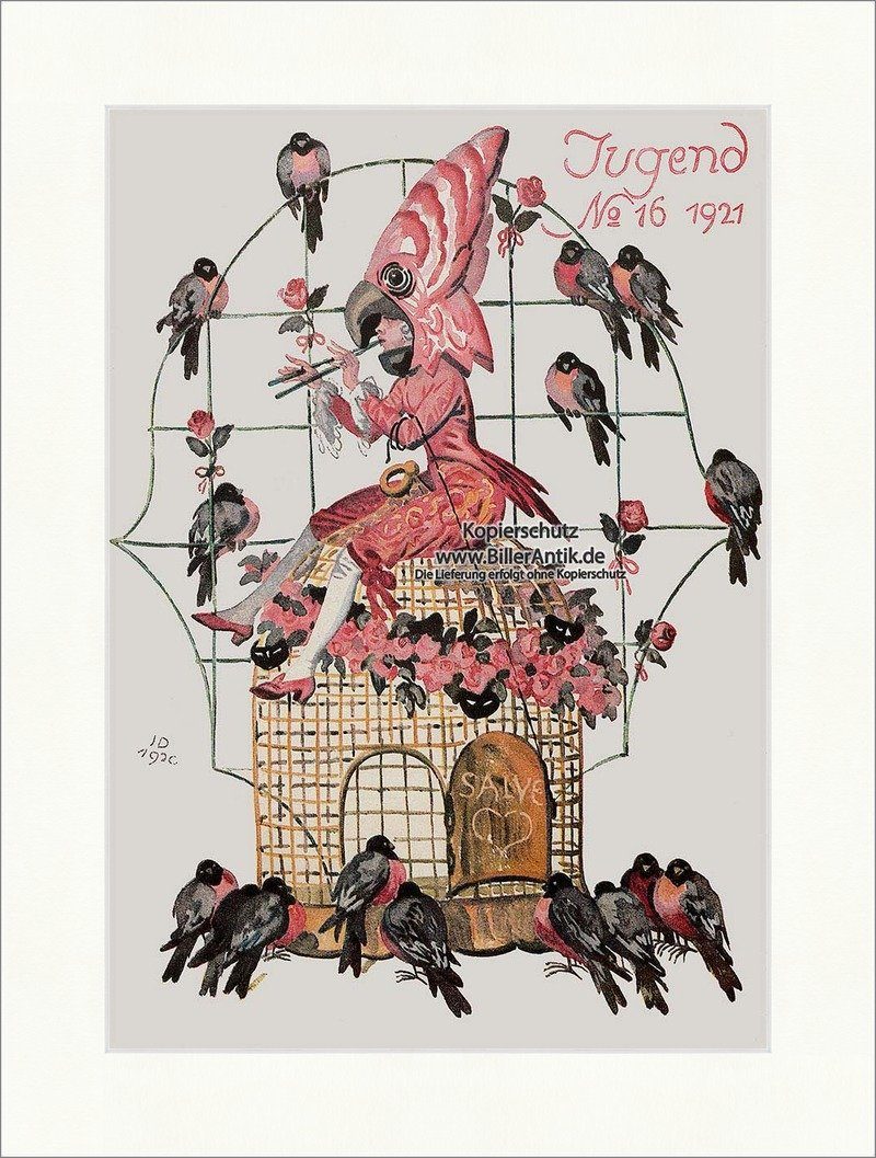Kunstdruck Titelseite der Nummer 16 von 1921 Julius Diez Papagei Junge Käfig Juge, (1 St)