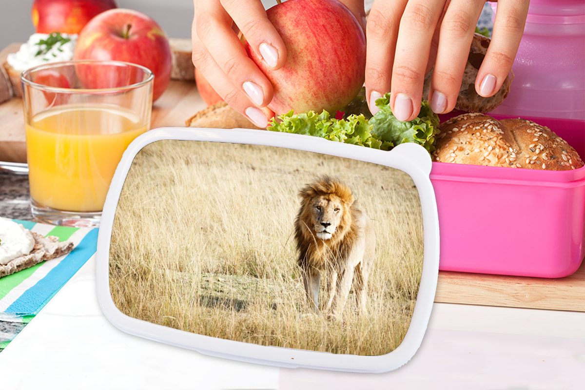 Brotbox MuchoWow Kunststoff Brotdose Snackbox, Erwachsene, - Afrika rosa Gras, für - Mädchen, Lunchbox Kunststoff, Löwen Kinder, (2-tlg),
