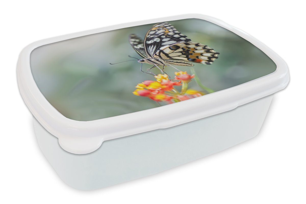 MuchoWow Lunchbox Seiten Schmetterling auf Blume, Kunststoff, (2-tlg), Brotbox für Kinder und Erwachsene, Brotdose, für Jungs und Mädchen weiß