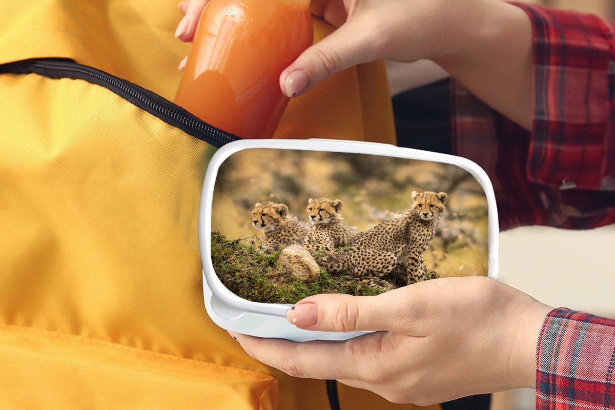 für für und Mädchen Lunchbox MuchoWow Leopard - und Kinder Brotbox Erwachsene, weiß Kunststoff, Tier, Brotdose, - Wald Jungs (2-tlg),