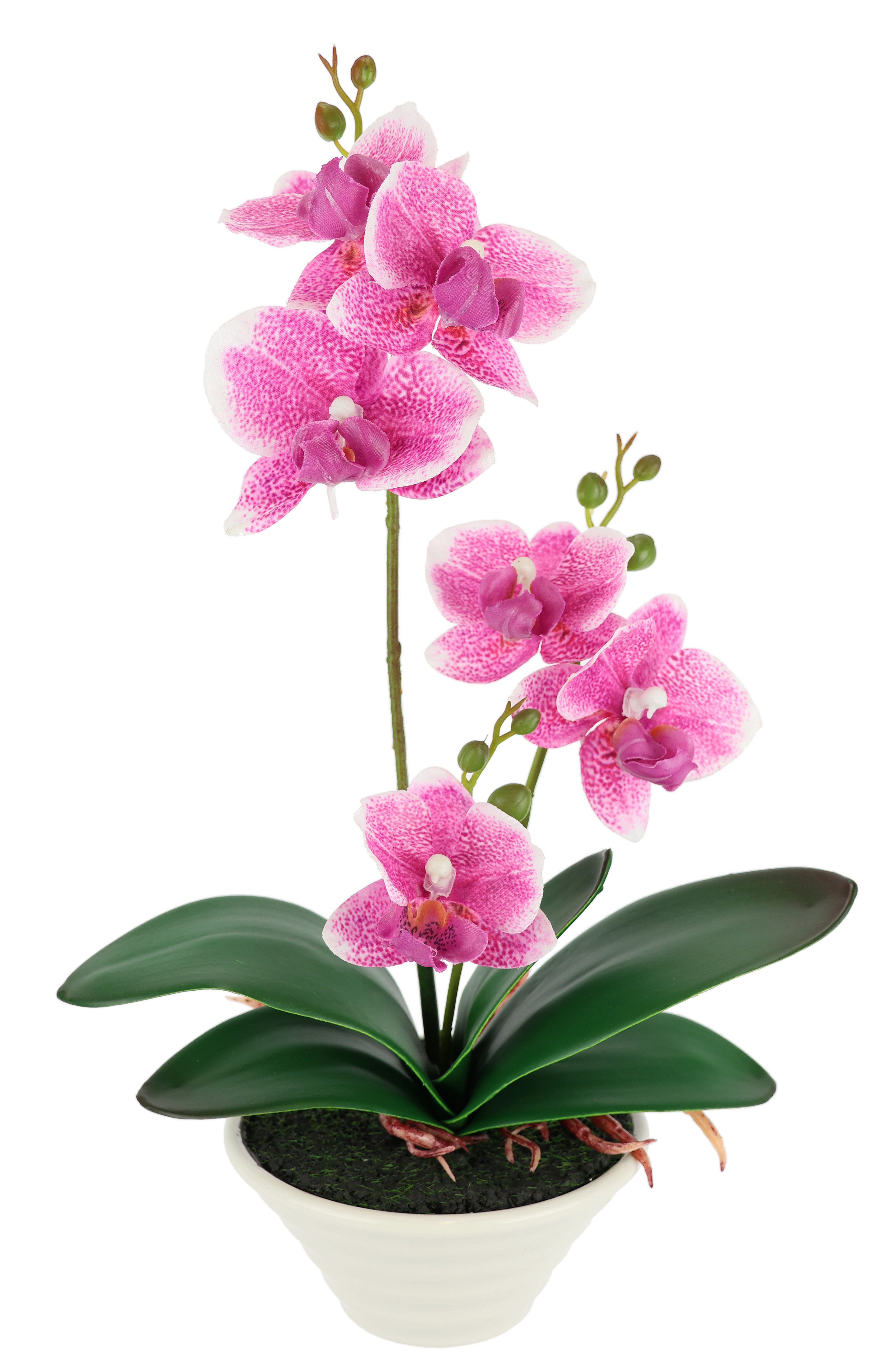 Kunstblume Kunstorchidee im Topf Orchidee, I.GE.A., Höhe 30 cm, 30cm künstliche Orchidee mit Blüten Phalaenopsis Kunstpflanze Pflanze