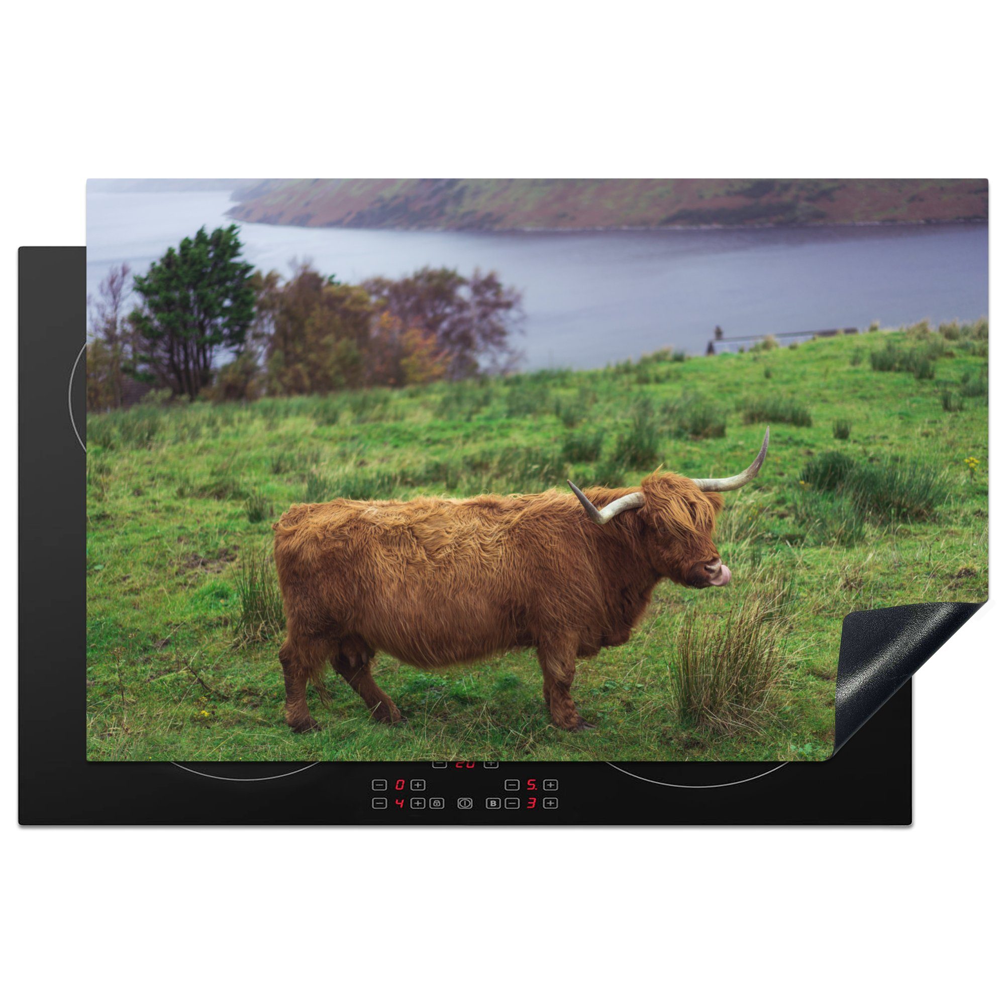 MuchoWow Herdblende-/Abdeckplatte Schottische Highlander - Gras - Wasser - Tiere, Vinyl, (1 tlg), 81x52 cm, Induktionskochfeld Schutz für die küche, Ceranfeldabdeckung
