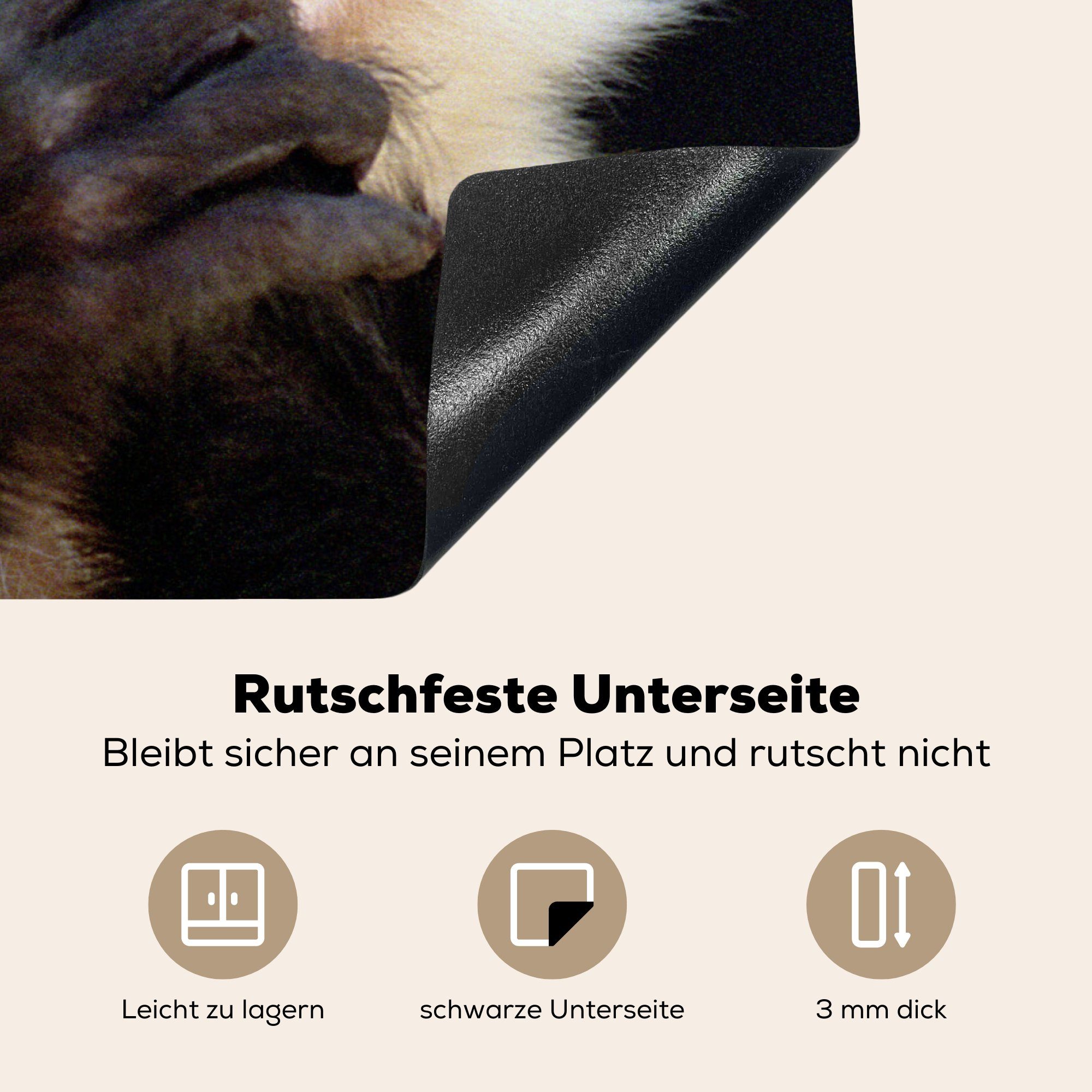 (1 cm, Wilde Tiere Vinyl, tlg), Induktionskochfeld küche, MuchoWow 71x52 Herdblende-/Abdeckplatte die Ceranfeldabdeckung Affe - Porträt, - Schutz für