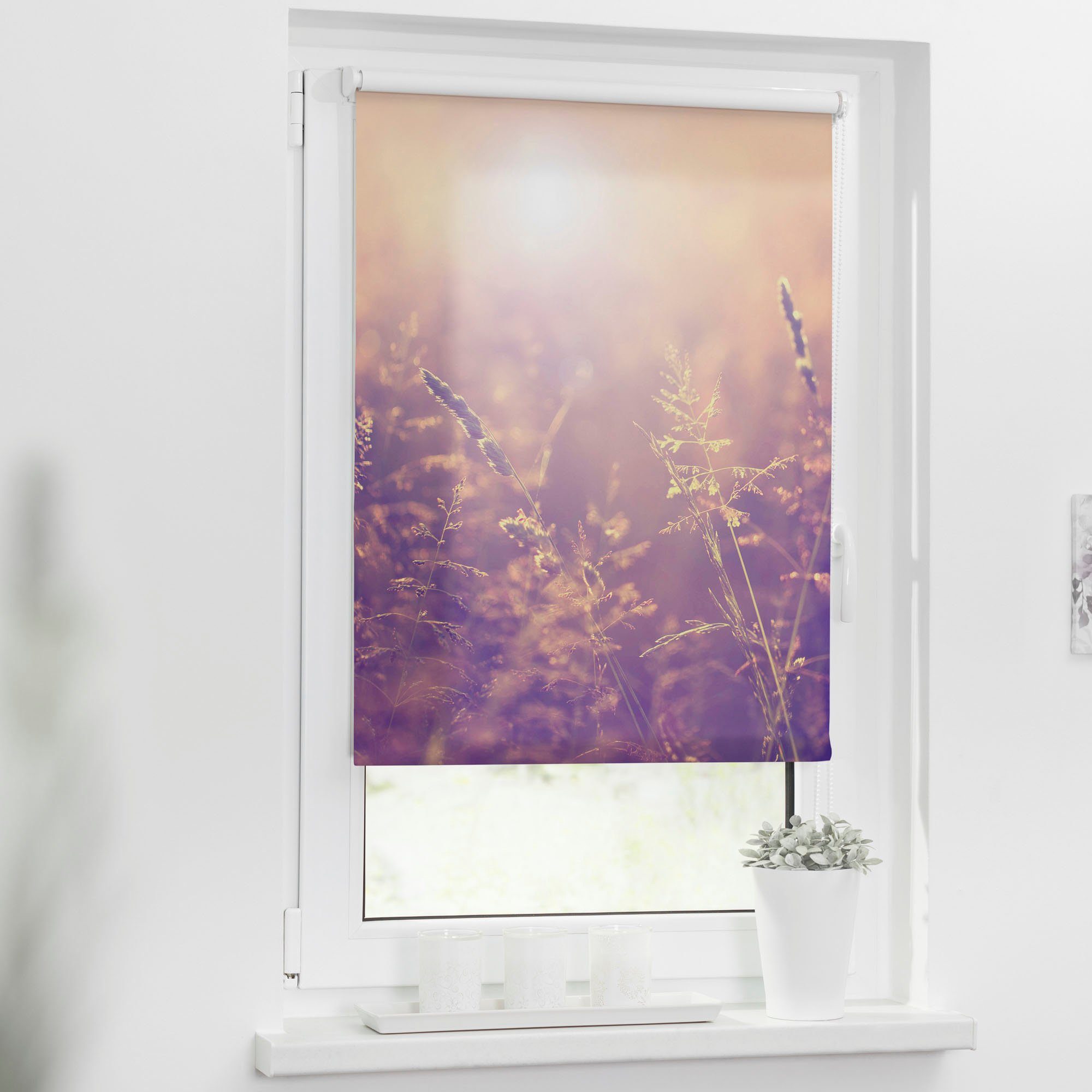 Seitenzugrollo Klemmfix Motiv Sommerabend, LICHTBLICK ORIGINAL, Lichtschutz günstig online kaufen