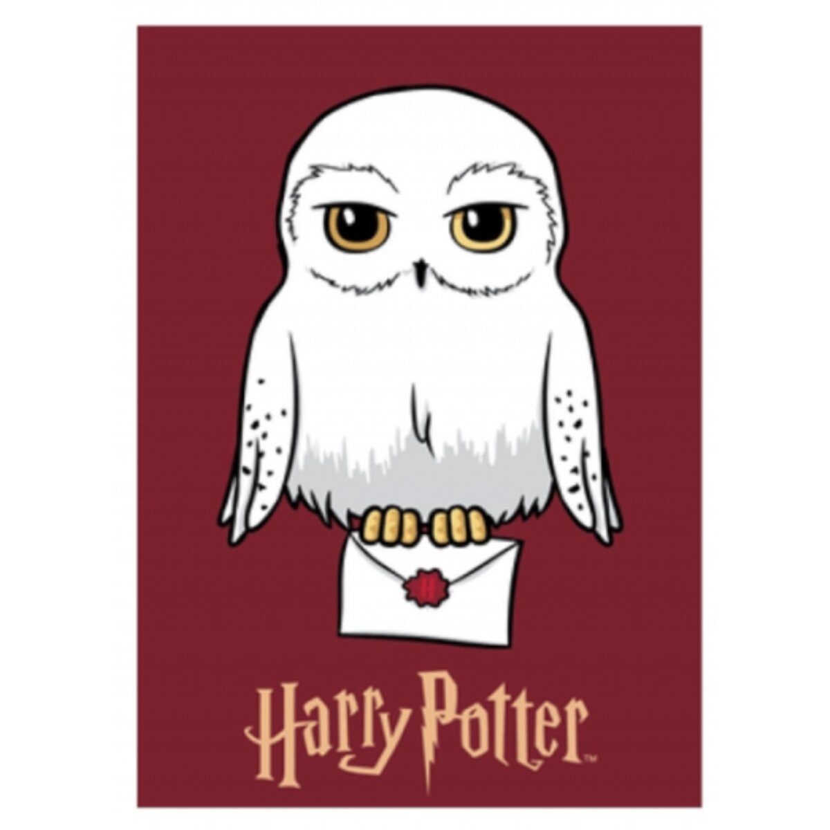 Wohndecke Harry Potter Kuscheldecke für Kinder günstig online kaufen