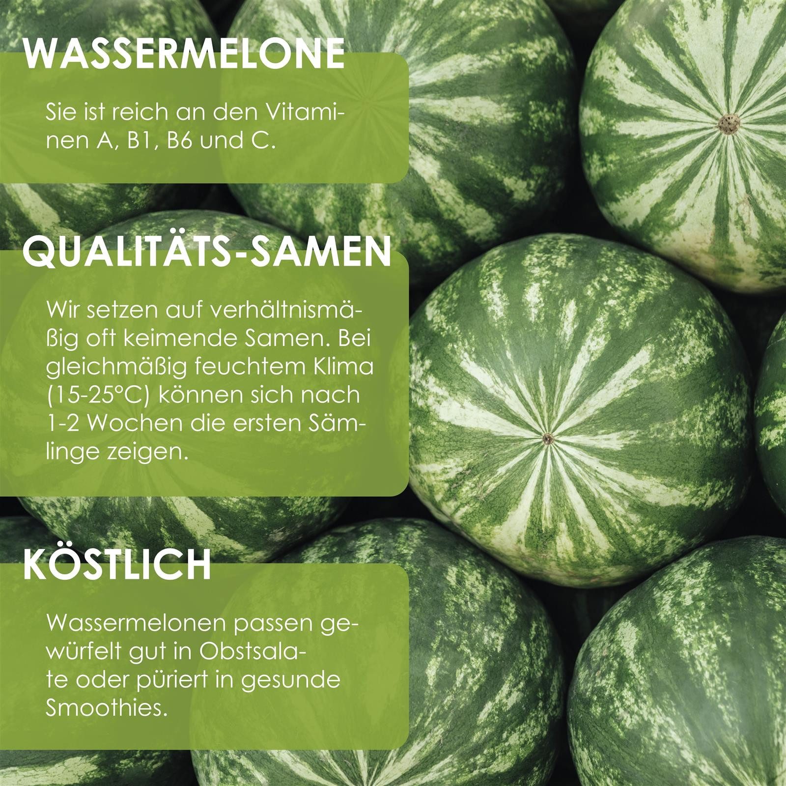 HappySeed Blumensamen Wassermelone Samen - Citrullus lanatus, Blumen günstig online kaufen