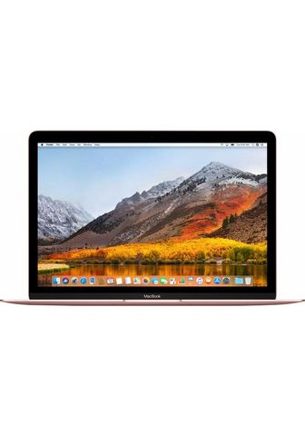 Ноутбук ноутбук (305 cm / 12 Zoll Inte...