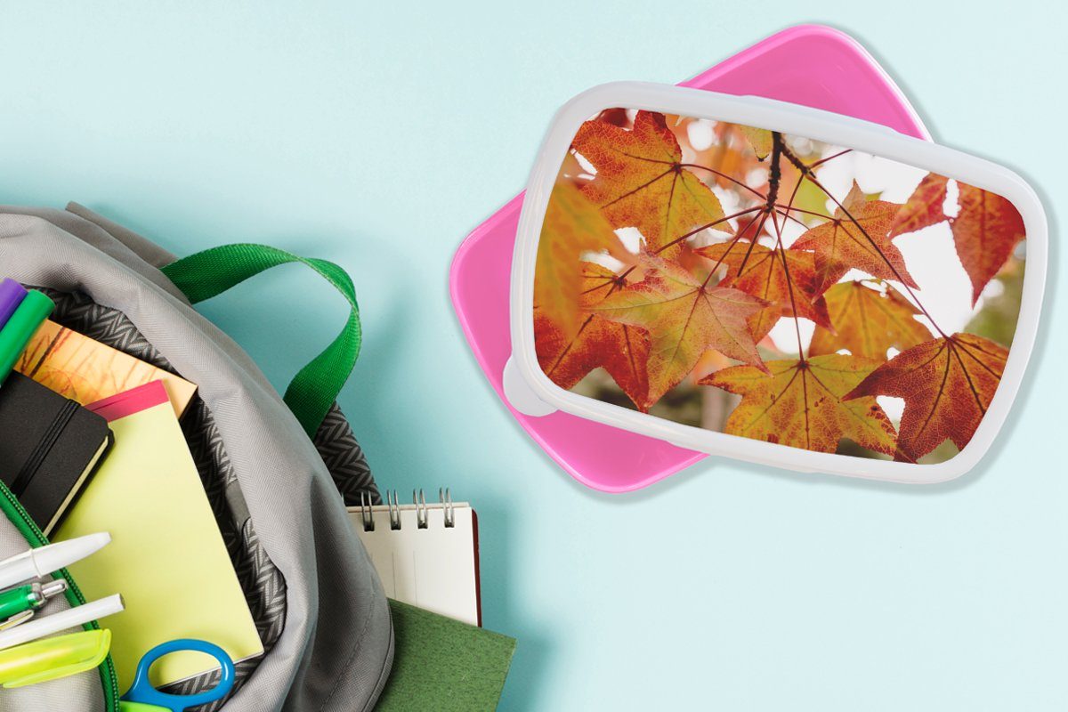 - Kunststoff MuchoWow Blätter Brotdose Jahreszeiten Kunststoff, rosa Herbstzweige Snackbox, - Kinder, - Brotbox Erwachsene, Landleben, für (2-tlg), Lunchbox Mädchen,
