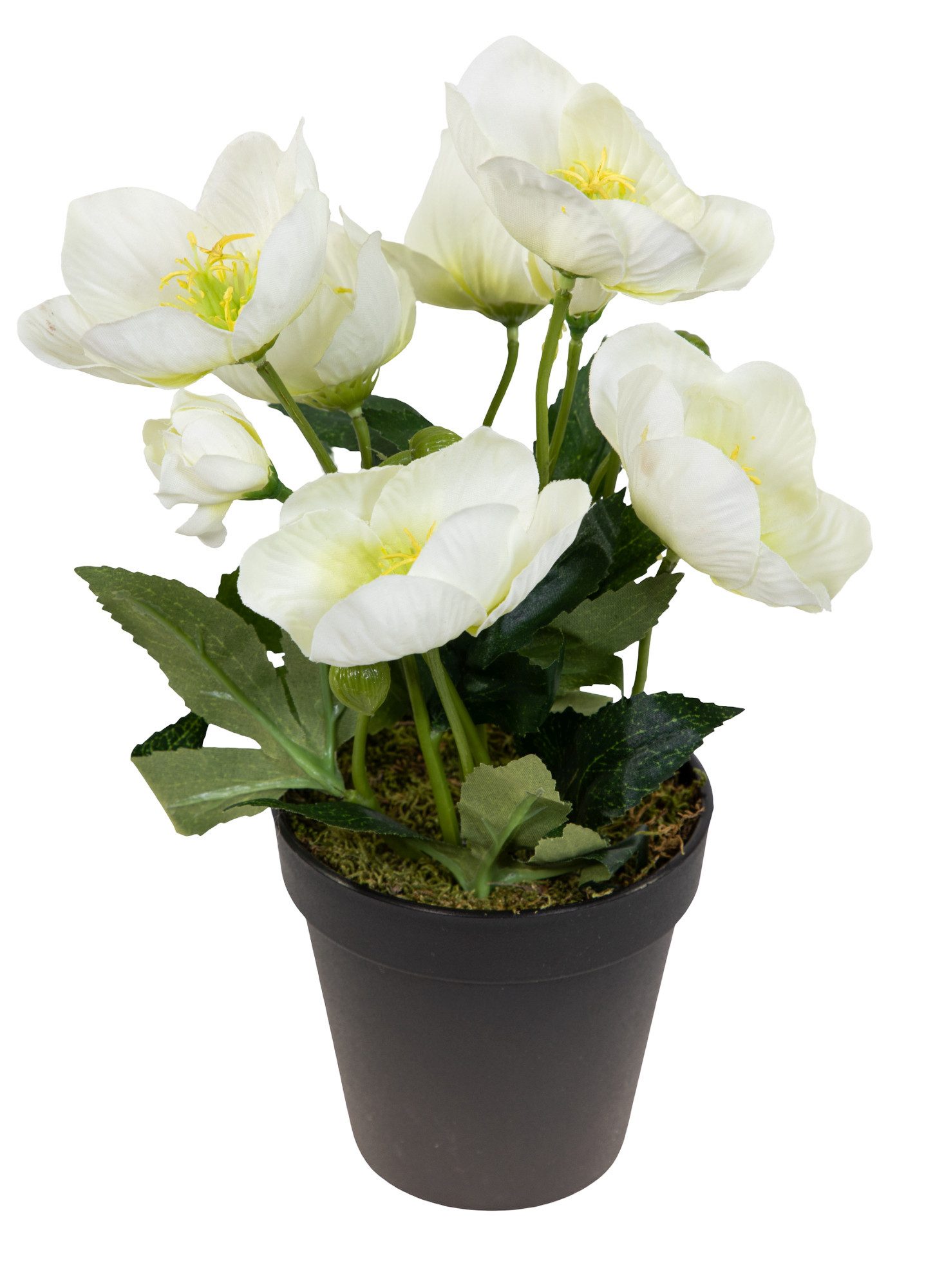 Kunstblume Christrosenbusch im Topf PM Kunstpflanzen künstliche Blumen Chri günstig online kaufen