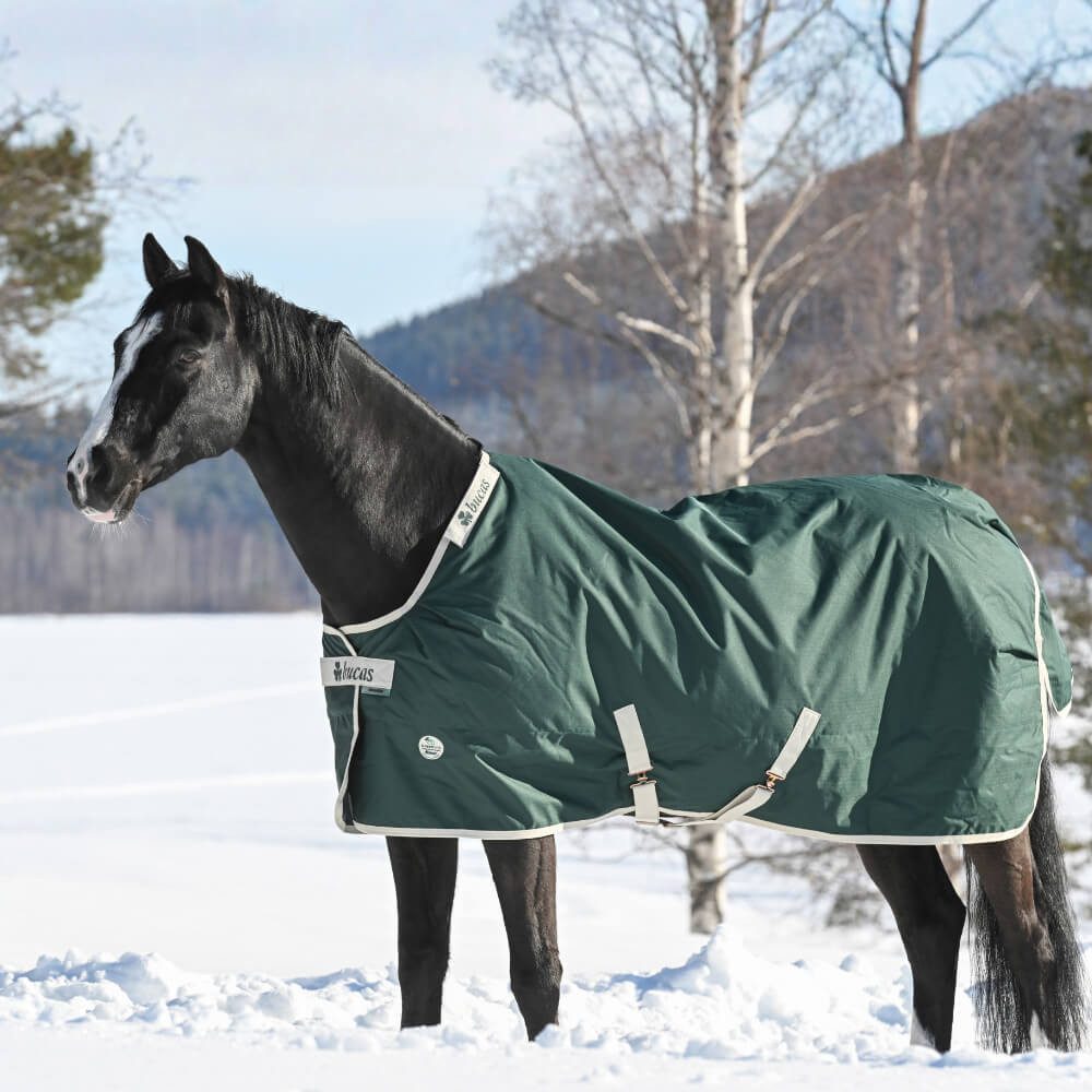 Bucas Pferde-Thermodecke Bucas Green-Line Turnout 300g