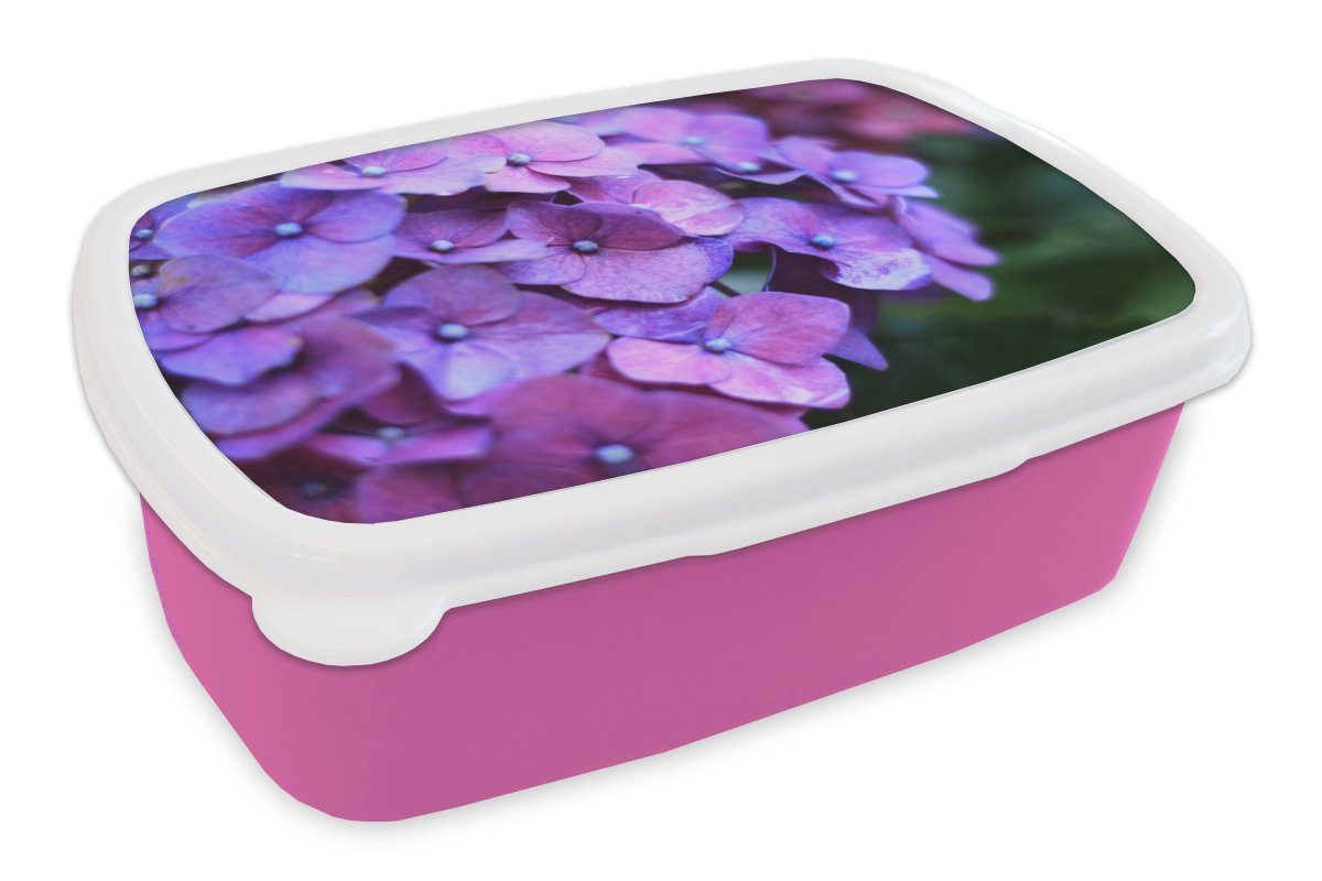 MuchoWow Snackbox, Blütenblätter, Natur Lila Blumen Brotbox Kunststoff, - - Brotdose Hortensie - Kinder, (2-tlg), für Lunchbox - Kunststoff Mädchen, rosa Erwachsene,