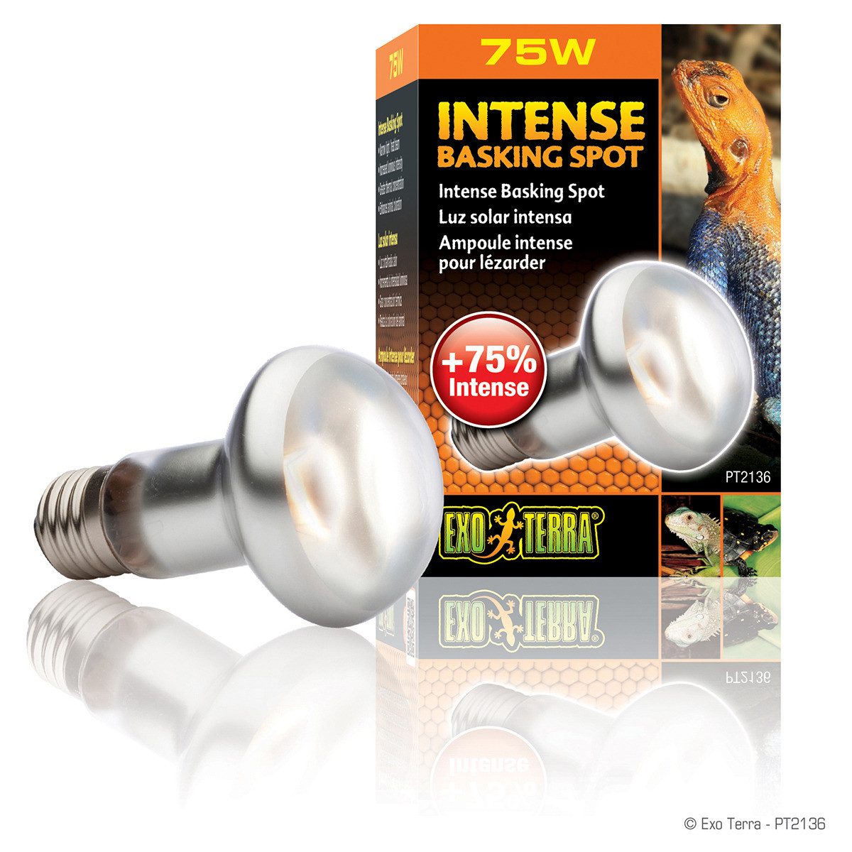 Exo Terra Terrarienleuchte Intense Basking Spot - Tageslichtlampe günstig online kaufen