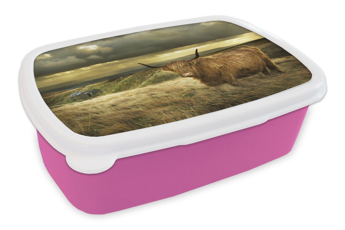 MuchoWow Lunchbox Schottische Highlander - Natur - Bauernhof, Kunststoff, (2-tlg), Brotbox für Erwachsene, Brotdose Kinder, Snackbox, Mädchen, Kunststoff rosa