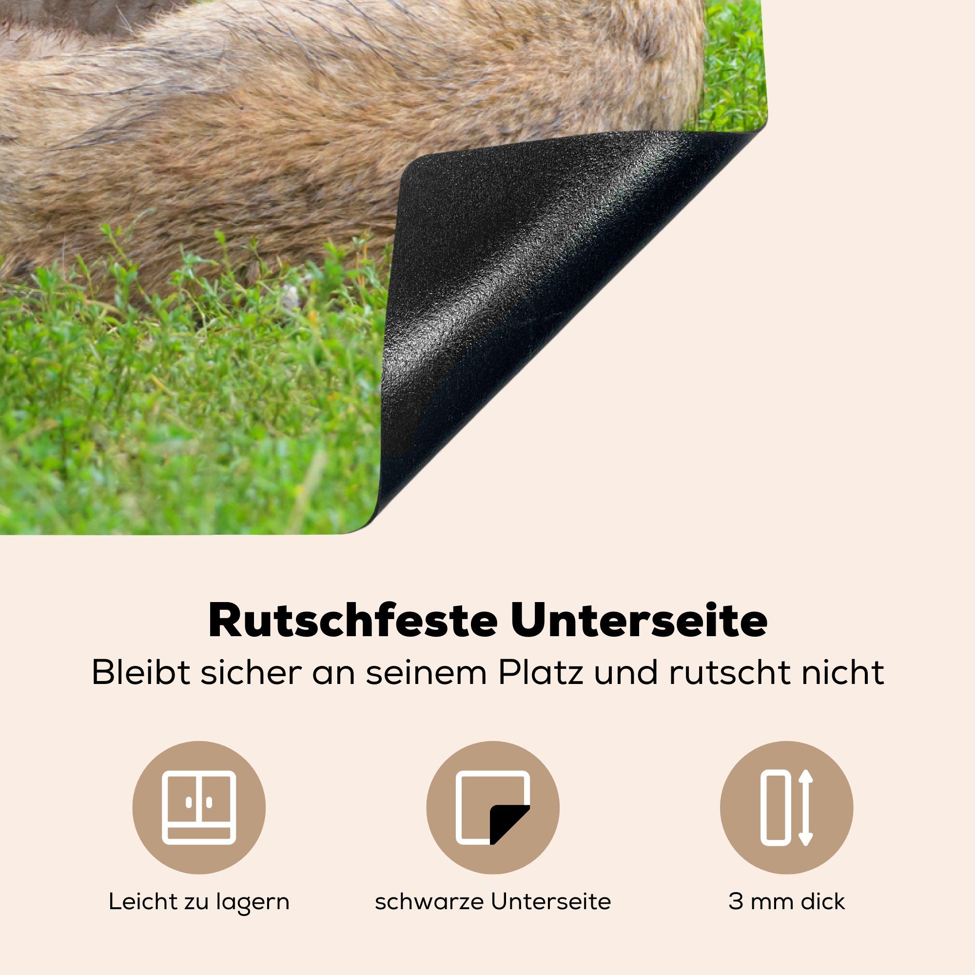 MuchoWow Herdblende-/Abdeckplatte die Ceranfeldabdeckung Gras, tlg), Vinyl, Schutz - Jungtiere (1 81x52 für küche, cm, Induktionskochfeld Wolf 