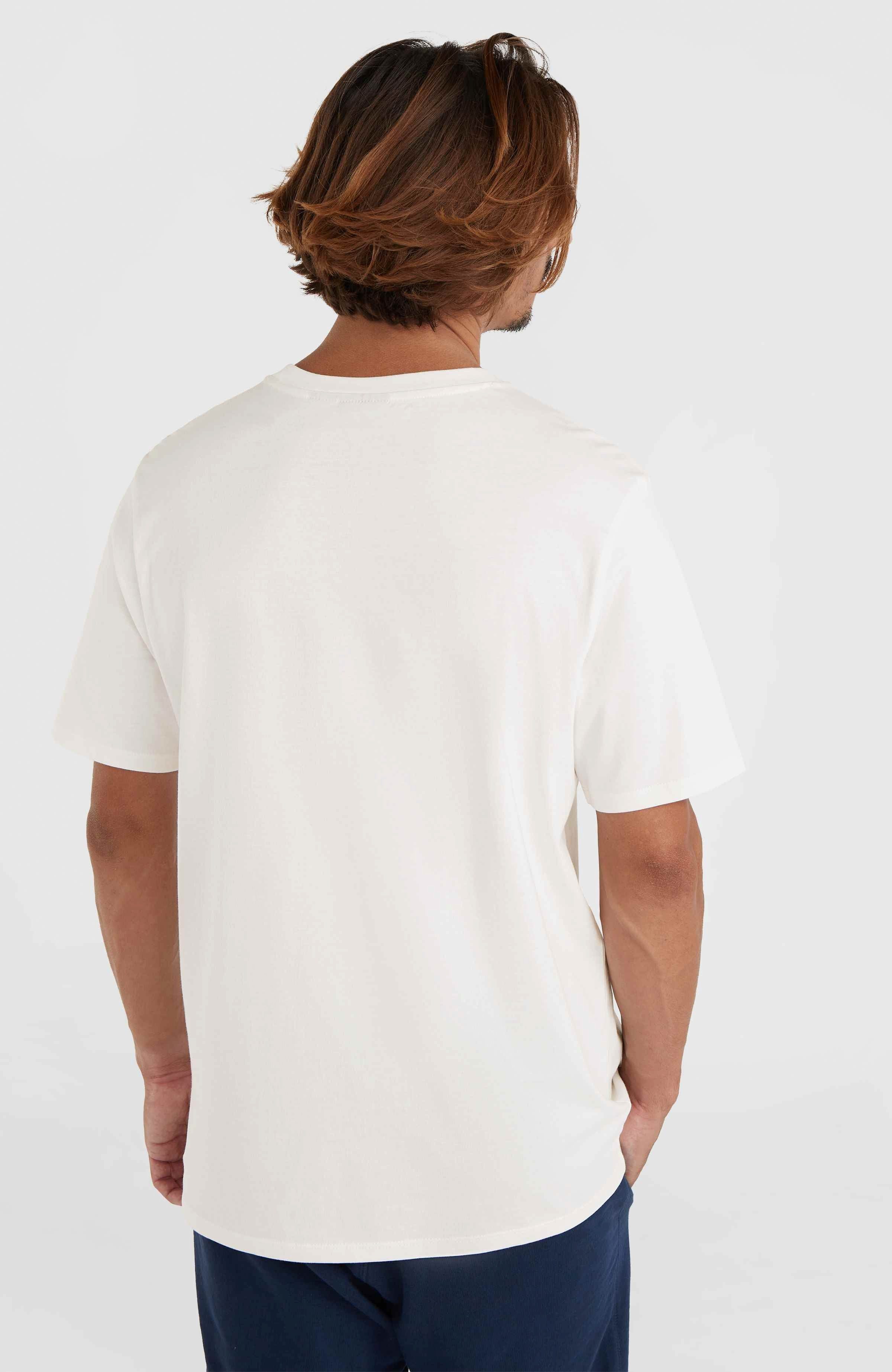 O'Neill T-Shirt O'NEILL SMALL LOGO T-SHIRT günstig online kaufen