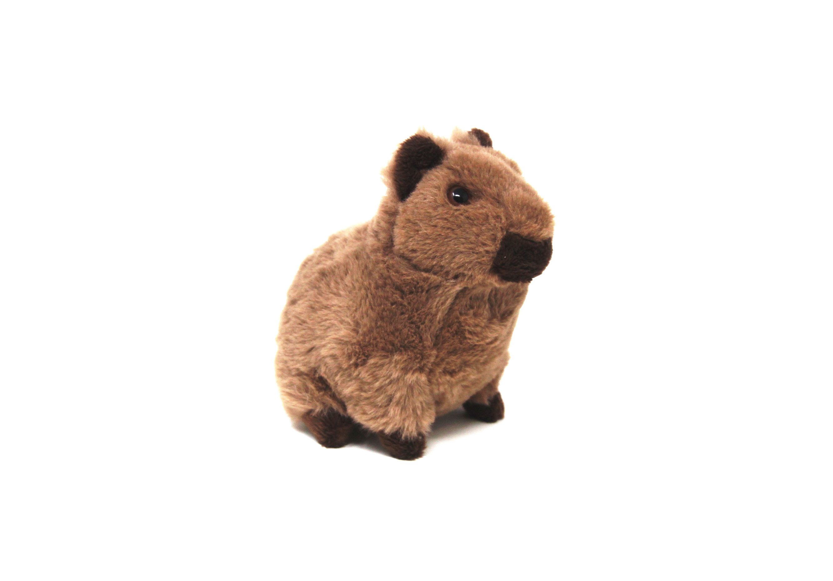Cornelißen Kuscheltier Cornelissen - Kuscheltier - Capybara - 12 cm