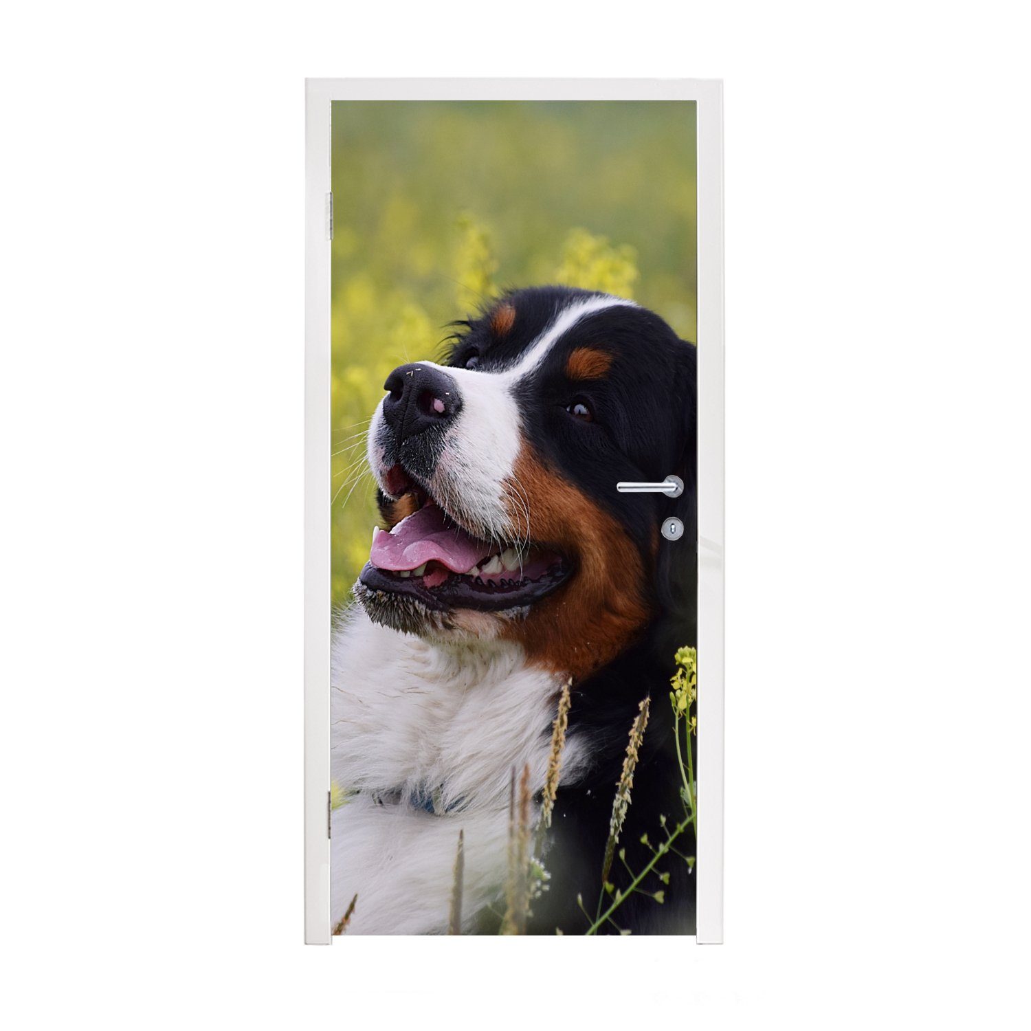 MuchoWow Türtapete Ein Berner Sennenhund zwischen gelben Blumen, Matt, bedruckt, (1 St), Fototapete für Tür, Türaufkleber, 75x205 cm