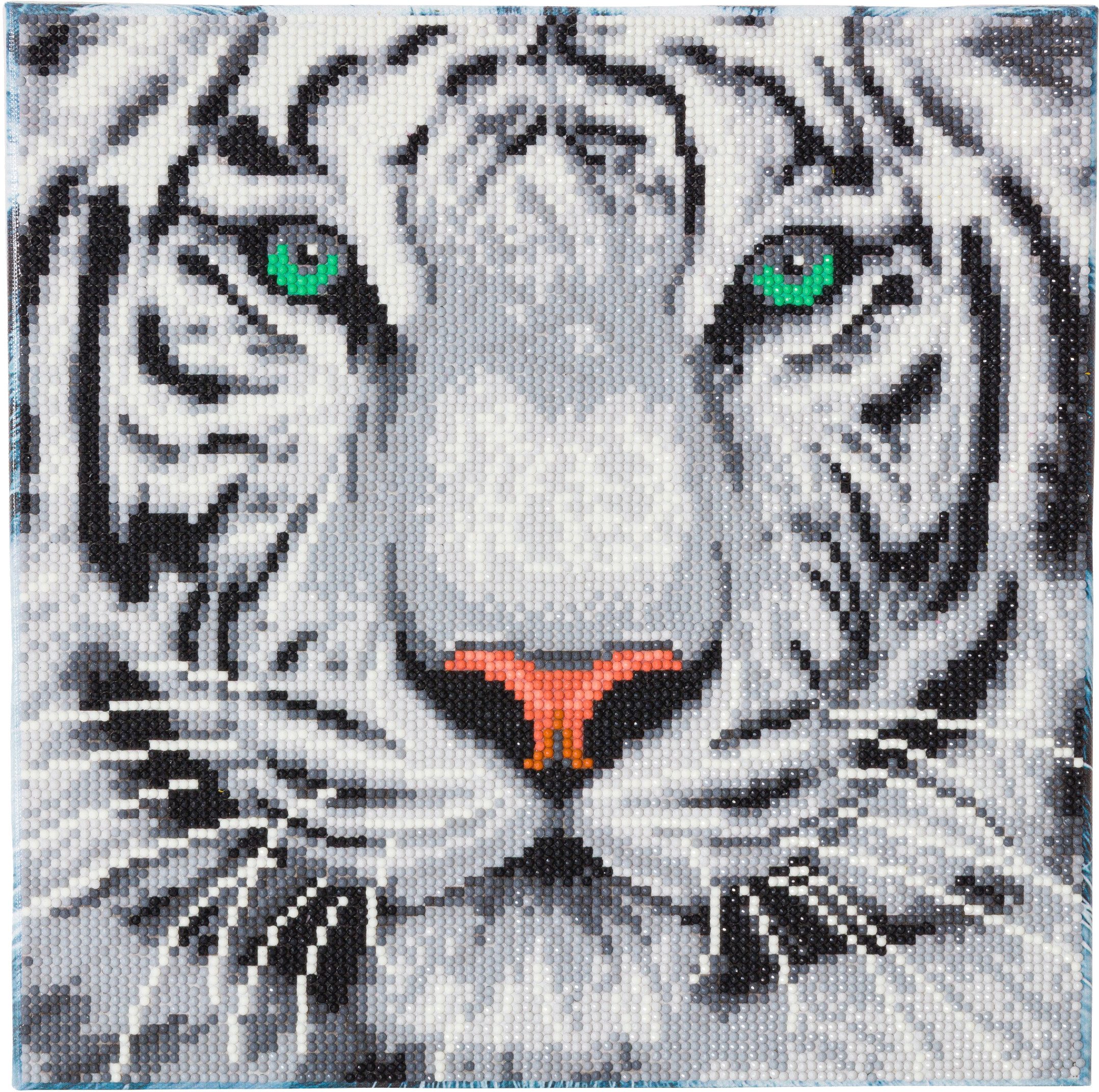 CRAFT Buddy Malvorlage Diamond Painting Crystal Art Kit, 30x30cm
