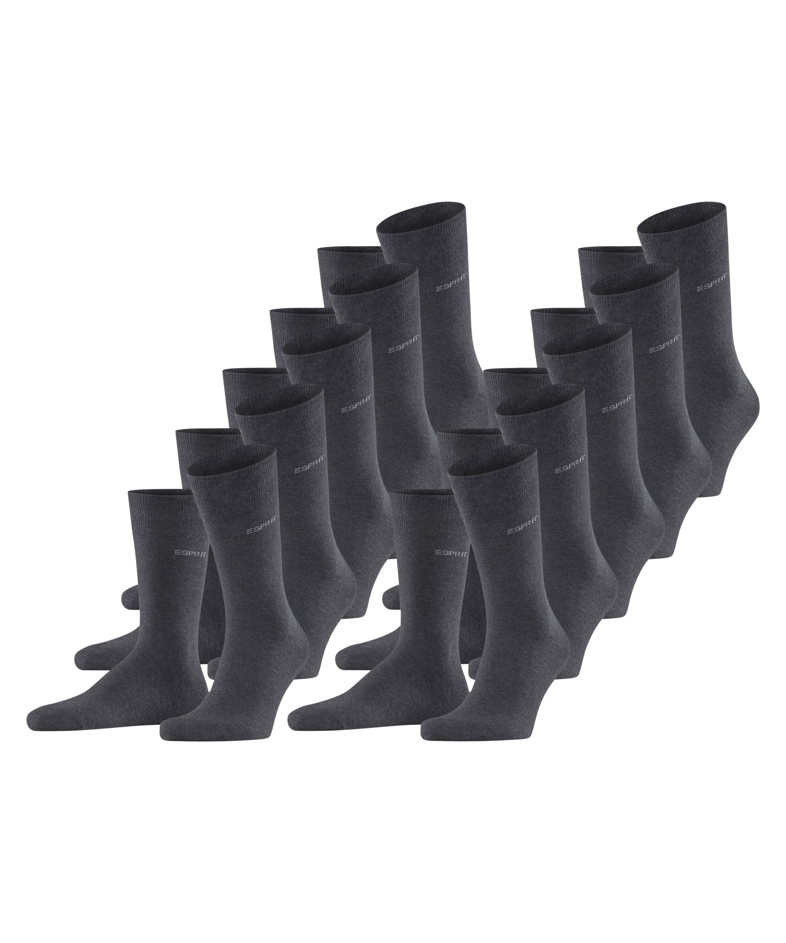 Esprit Socken Uni 10-Pack (10-Paar) anthra.mel (3080)