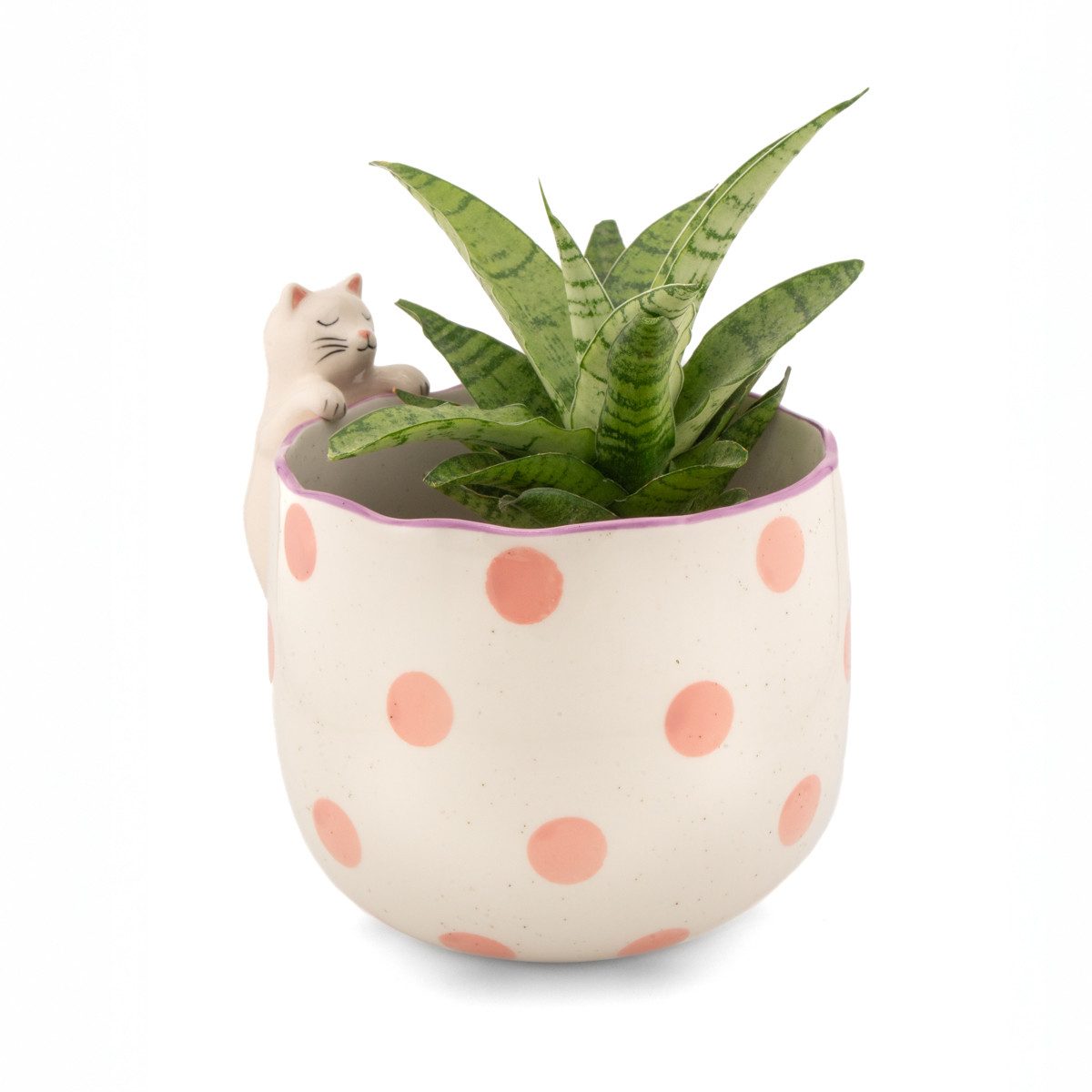 Sass & Belle Blumentopf Peeking Planter (Porzellan, 1 St., Hummer, Dackel, Katze), ca. 14 x 15 x 13 cm