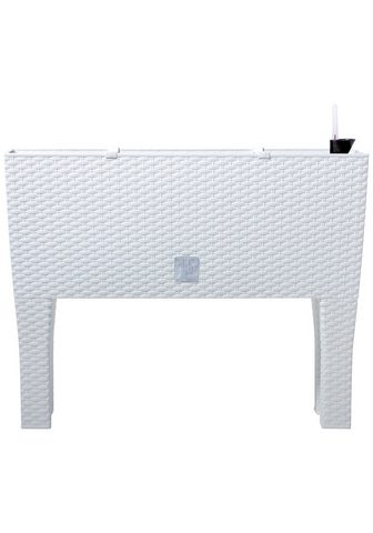 PROSPERPLAST Ящик для растений »Rato чехол hi...