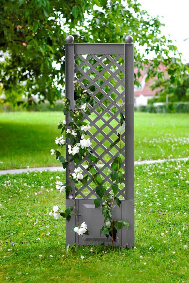 KHW Rankgitter , mit Erdspieß, BxTxH 43x6x140 cm OTTO