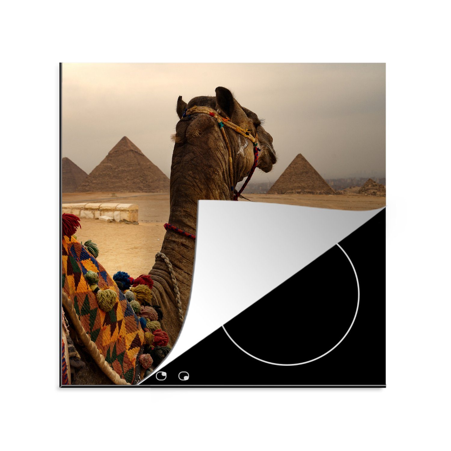 MuchoWow Herdblende-/Abdeckplatte Ägypten - Kamel - Pyramide, Vinyl, (1 tlg), 78x78 cm, Ceranfeldabdeckung, Arbeitsplatte für küche