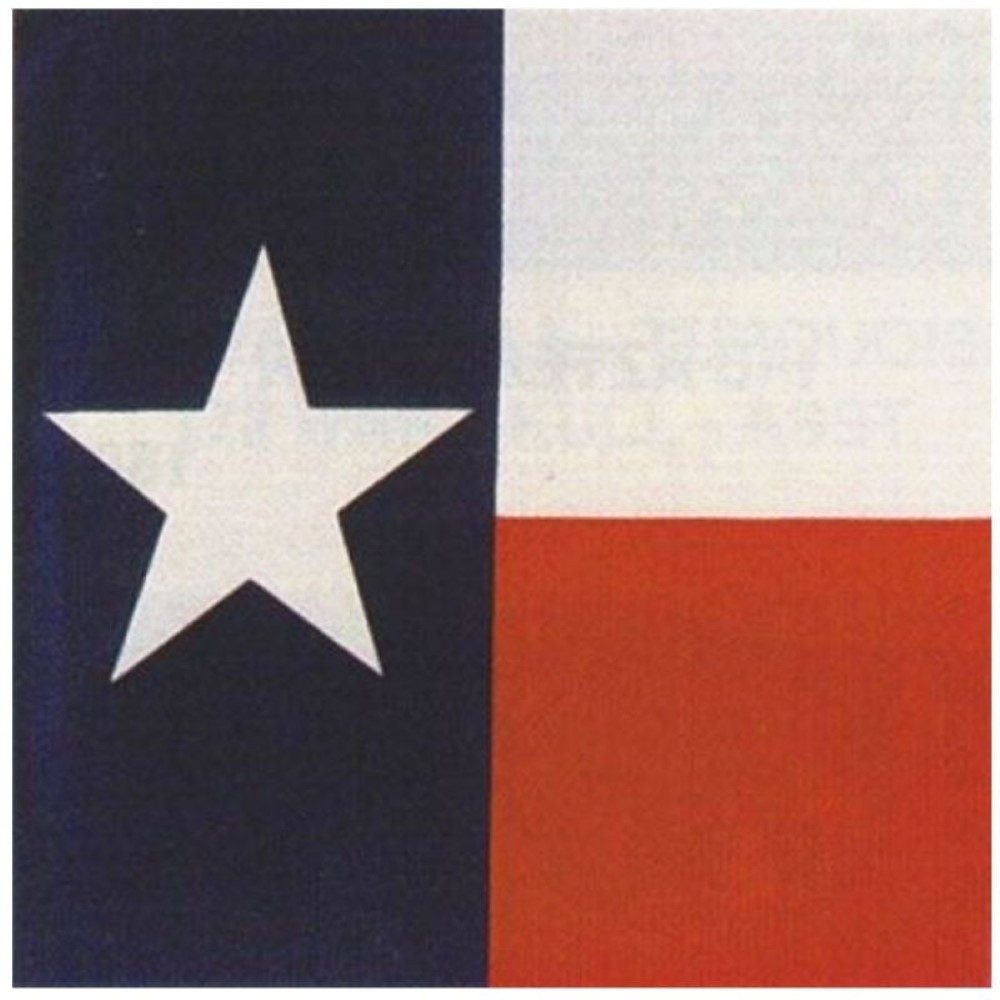 Görtrud Bandana Kopftuch Halstuch Texas Flagge