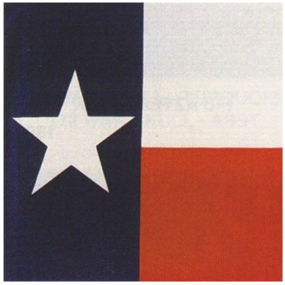 Bandana Kopftuch Halstuch Texas Flagge