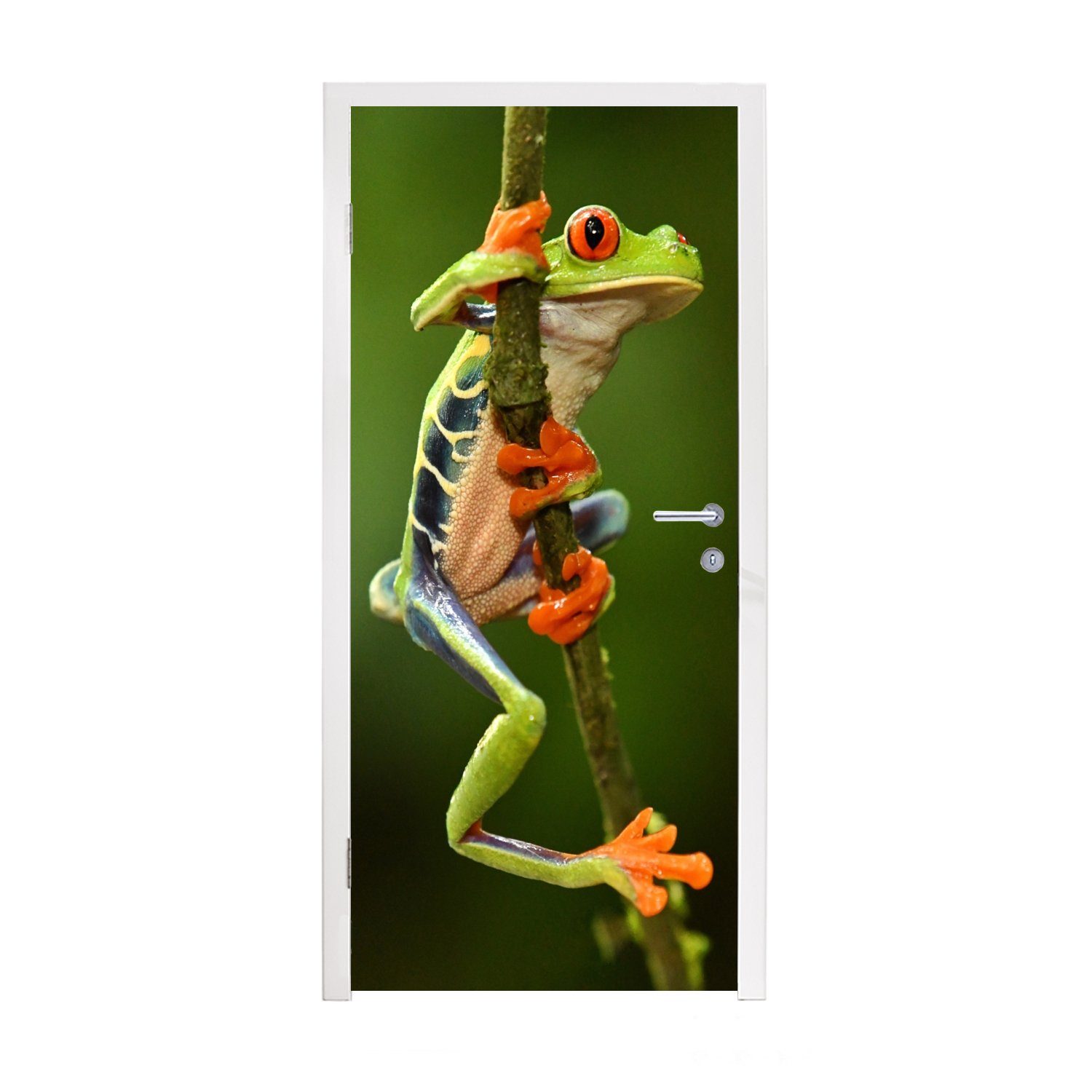 MuchoWow Türtapete Rotaugenlaubfrosch im Dschungel, Matt, bedruckt, (1 St), Fototapete für Tür, Türaufkleber, 75x205 cm