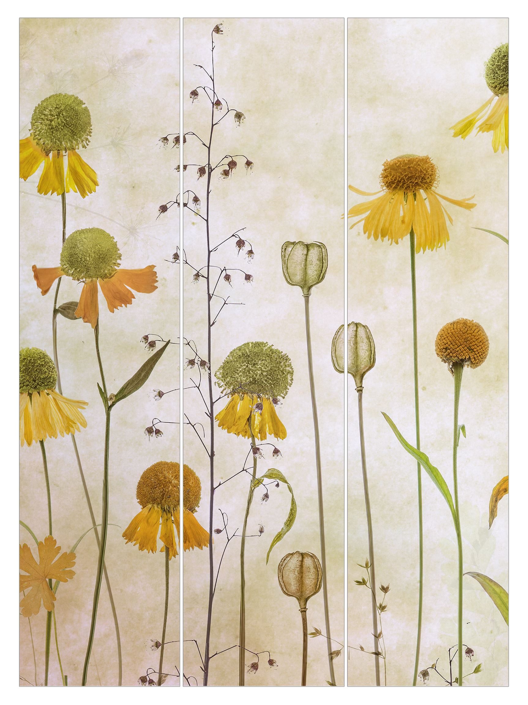 Bilderdepot24 Schiebegardine modern Flächenvorhang blickdicht Zarte Helenium Blüten (3 St), halbtransparent, Wohnzimmer große Flächengardine lichtdurchlässig für Klemm-System