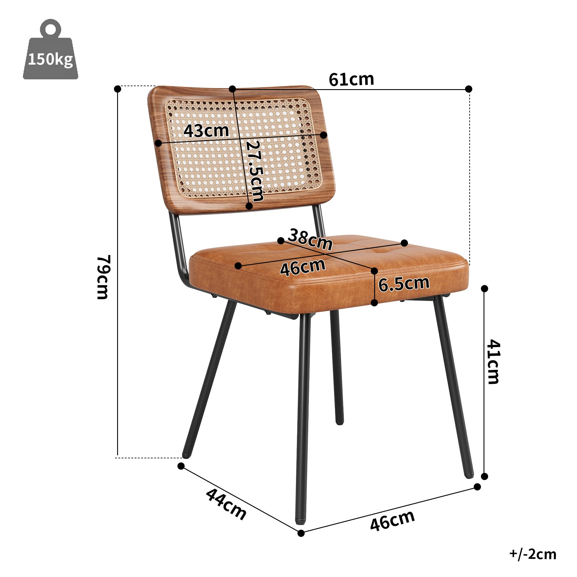 Flieks Esszimmerstuhl (Set, 2 St), 2er Set Rattanstühle Polsterstühle Wohnzimmer Kunstleder, Metallbeine