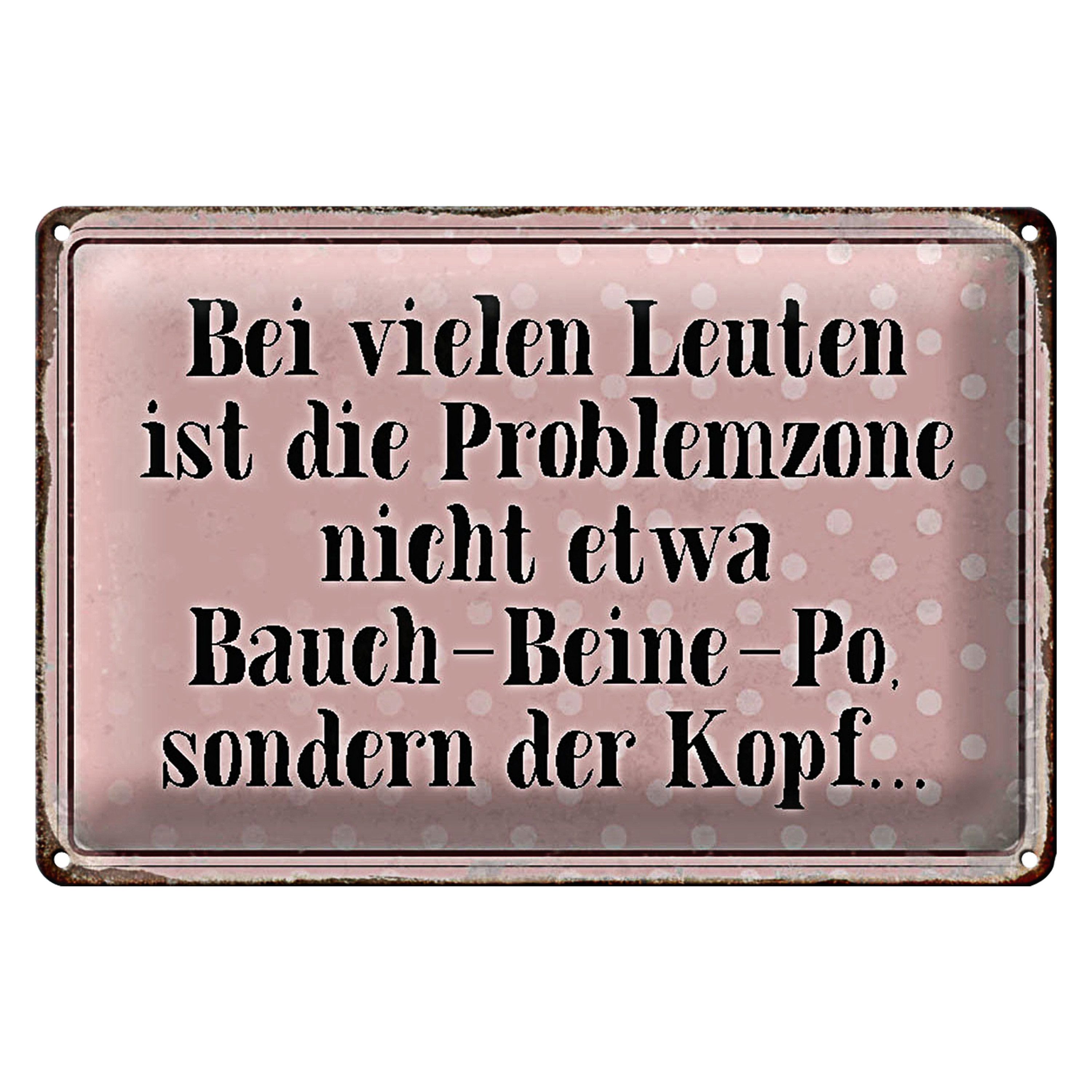 Roomando Metallschild Blechschild Spruch 30x20cm Problemzone ist der Kopf Retro