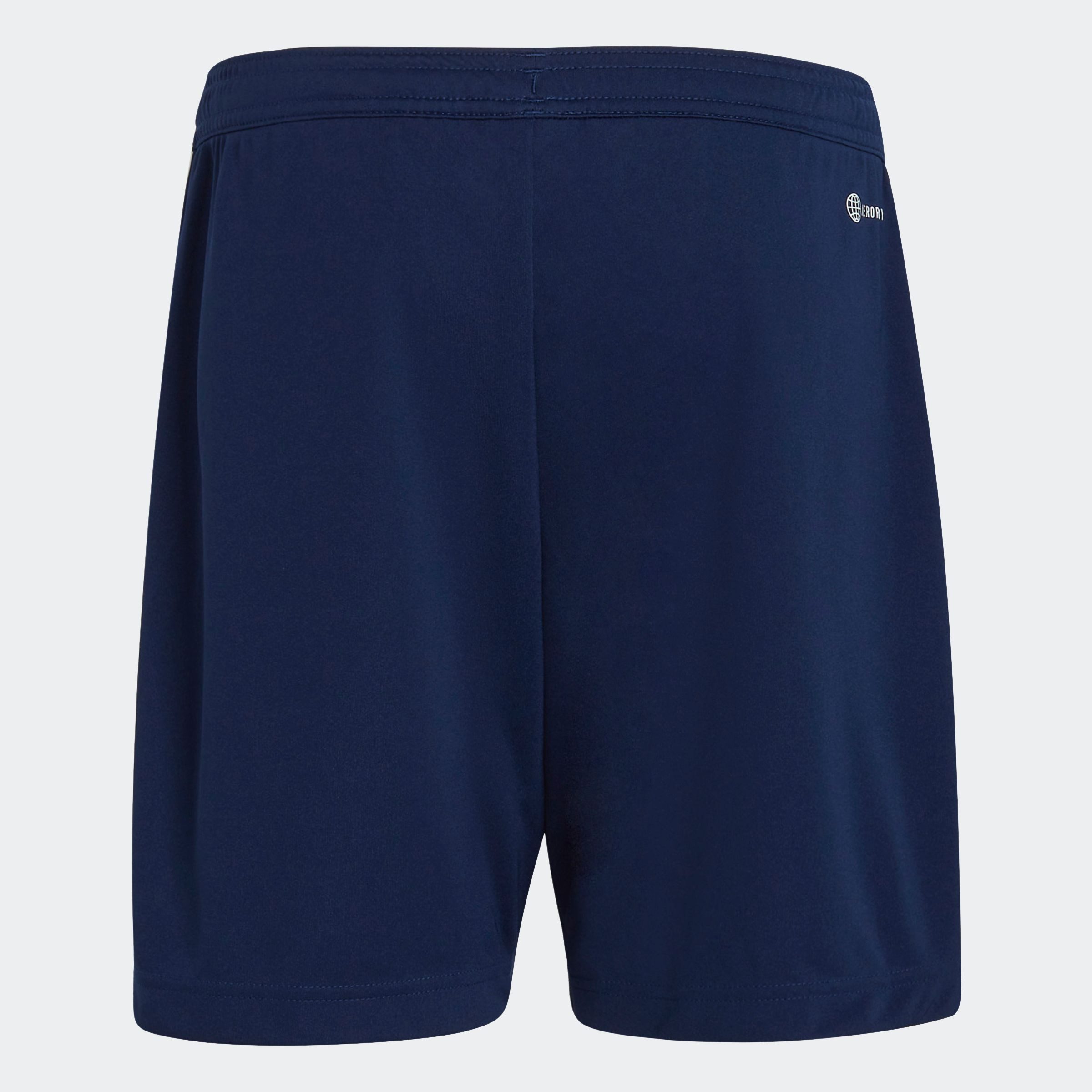 adidas Performance Trainingsshorts ENT22 TR SHOY