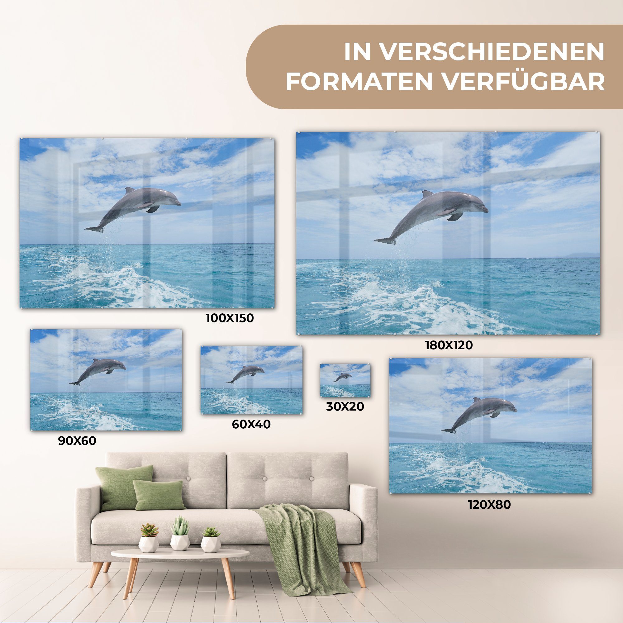 Acrylglasbilder (1 - Schlafzimmer St), MuchoWow Wohnzimmer Meer Acrylglasbild - Delfin & Himmel,