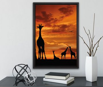 Pixxprint Leinwandbild Afrika Giraffen im Sonnenuntergang, Wanddekoration (1 St), Leinwandbild fertig bespannt, in einem Schattenfugen-Bilderrahmen gefasst, inkl. Zackenaufhänger