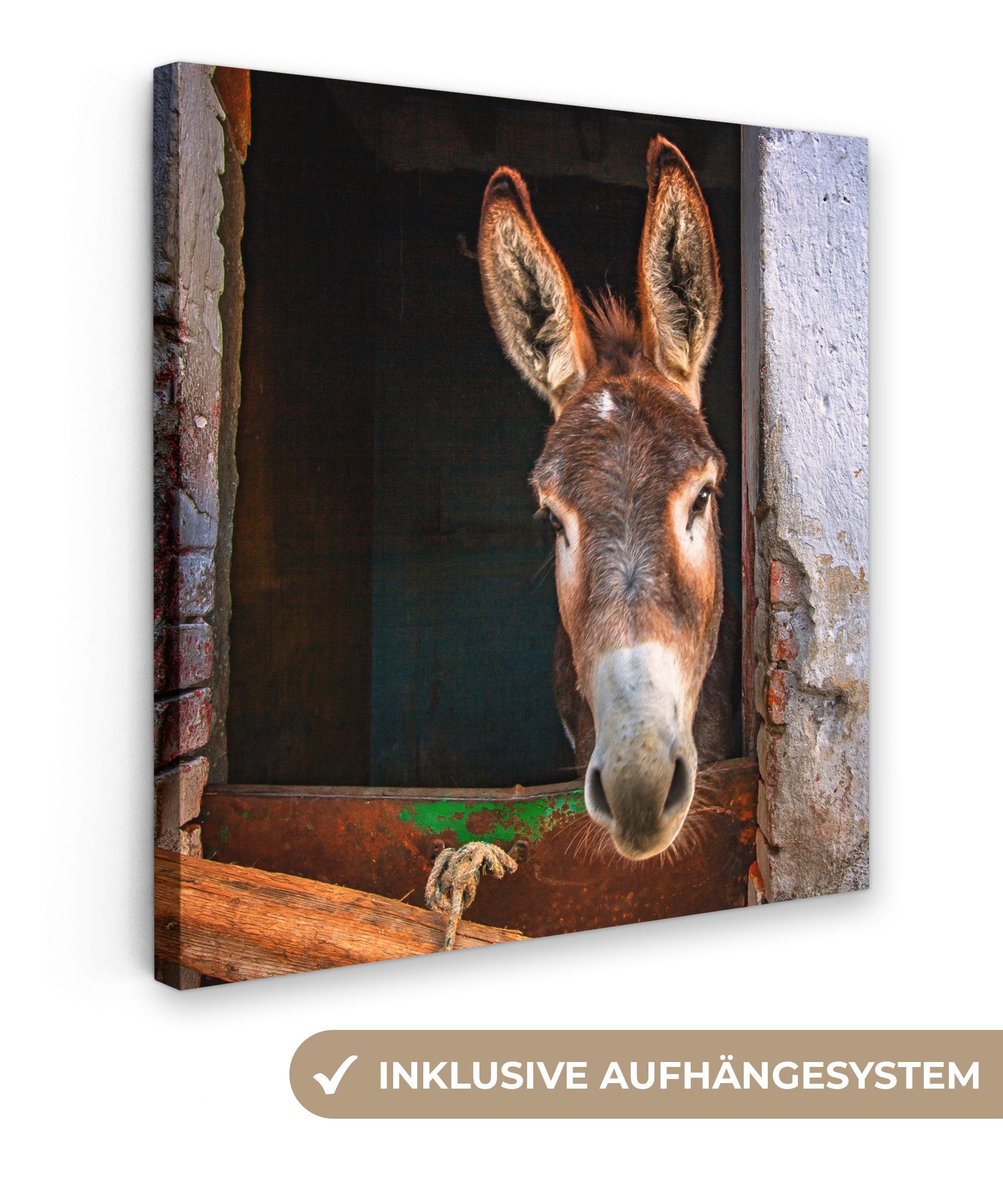 OneMillionCanvasses® Leinwandbild Esel im Stall, Fotodruck (1 St), Wandbild, Deko Schlafzimmer Wohnzimmer Flur 20x20 cm